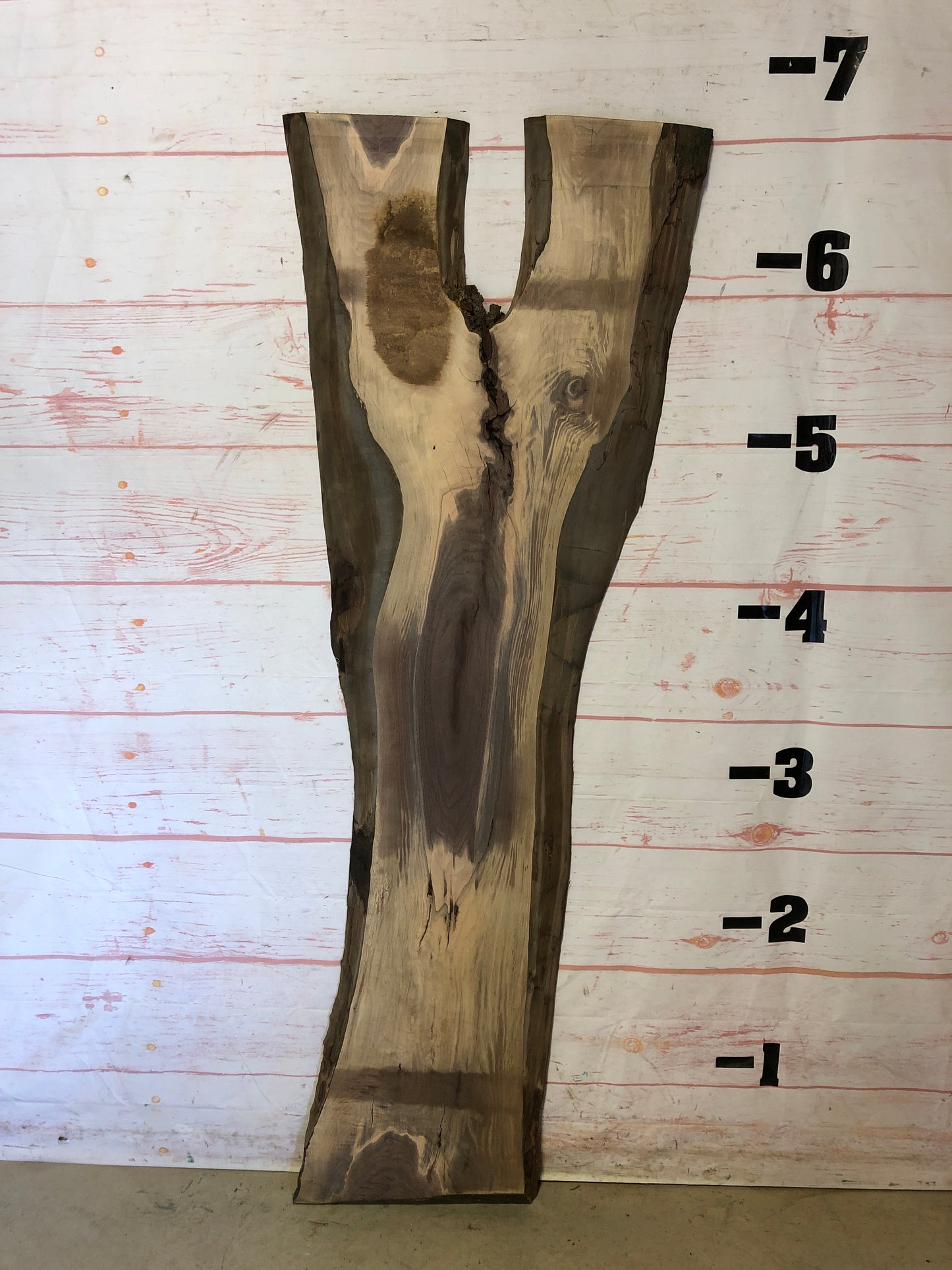 Live Edge Walnut Sku# 22553SP1-26