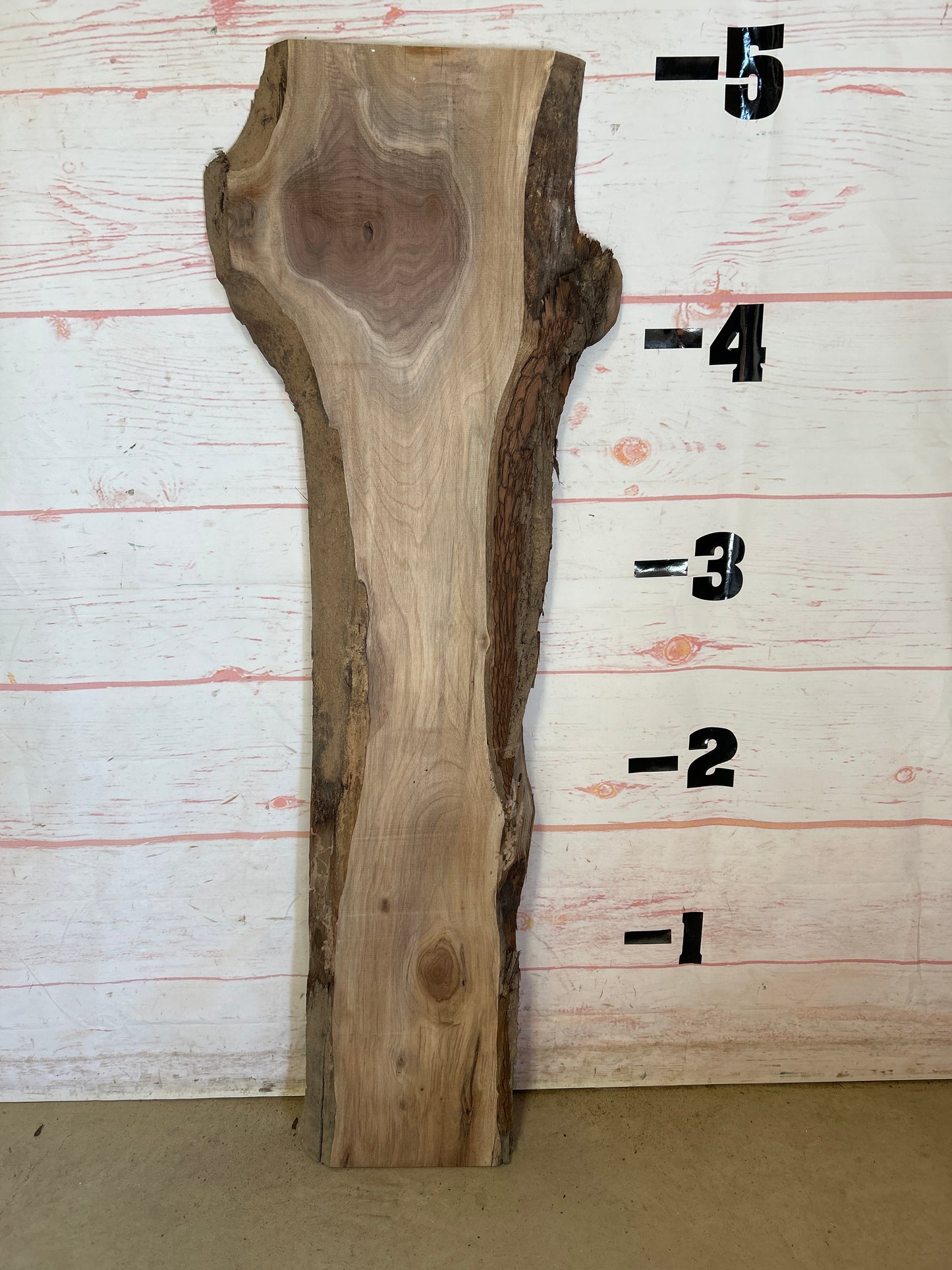 Live Edge Walnut Sku#25125M-10