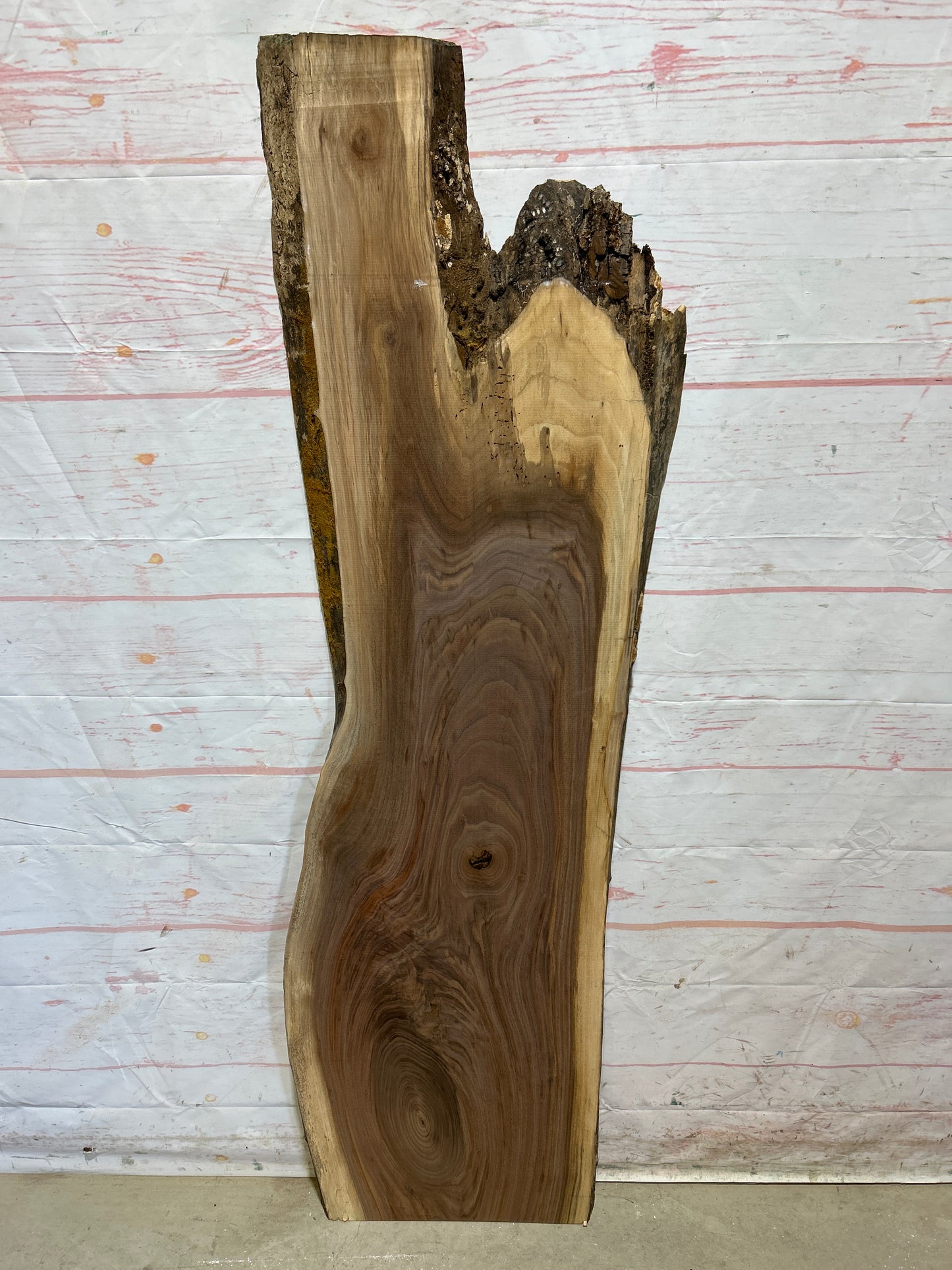 Live Edge Walnut Sku#26660M-10