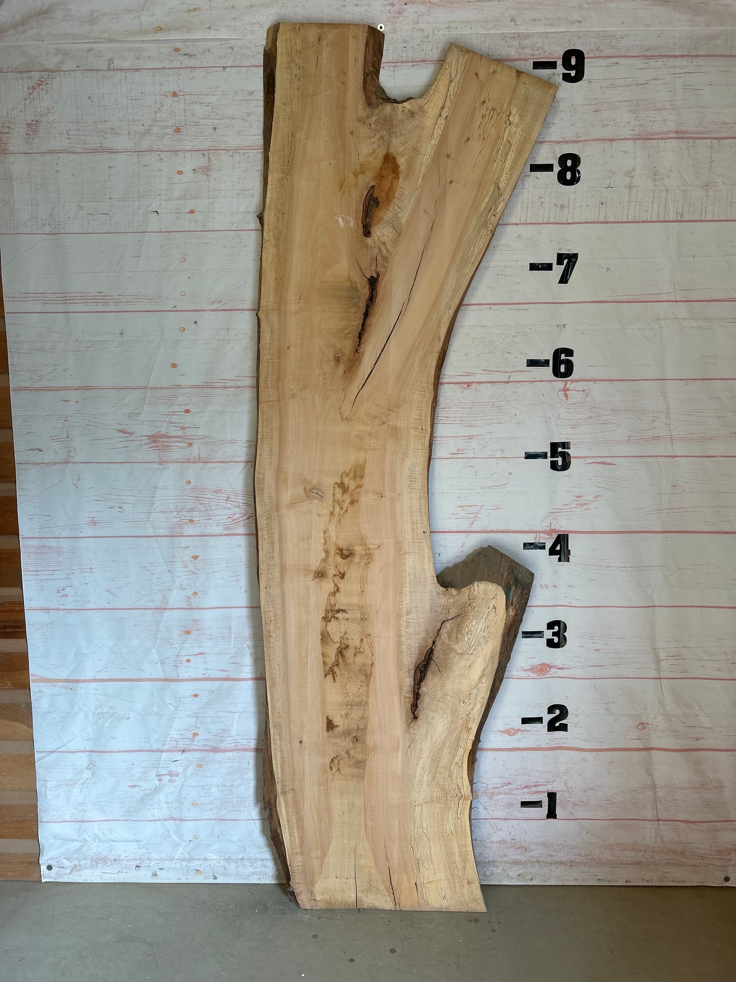 Live Edge Maple Sku# 24560-47