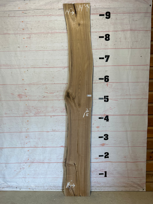 Live Edge Butternut Sku#25944-18