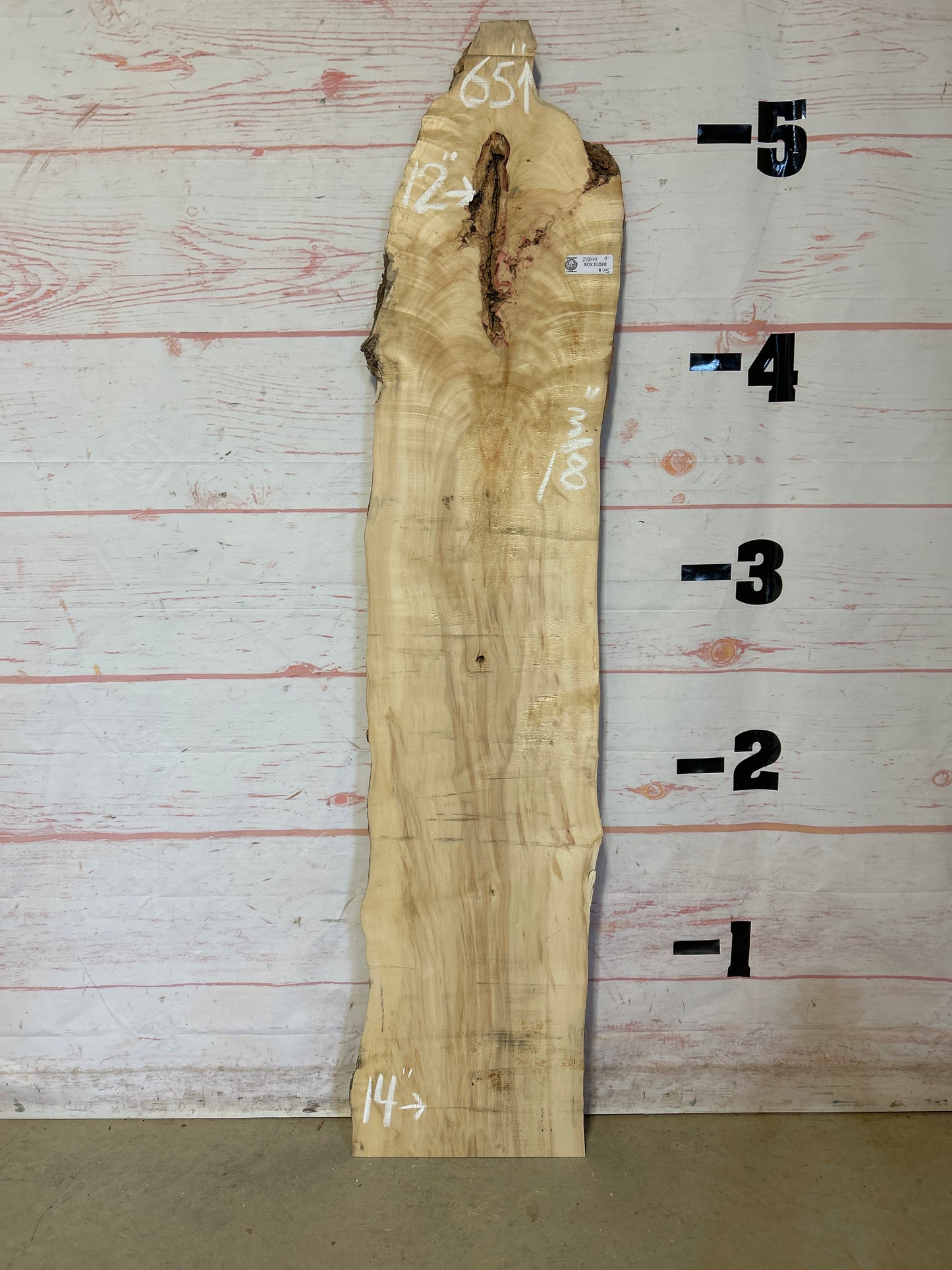 Live Edge Box Elder Sku#25044E-9