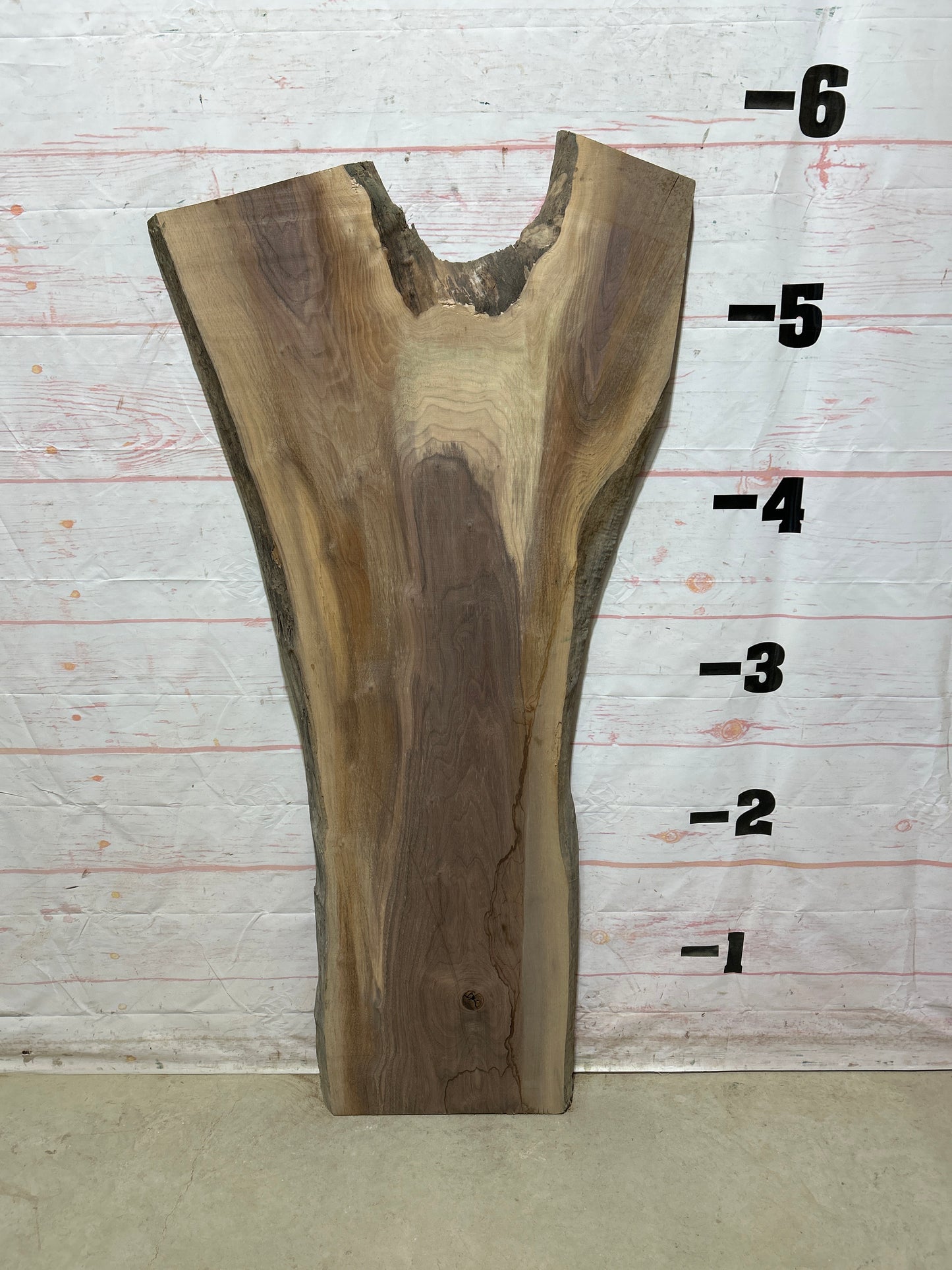 Live Edge Walnut Sku#26830M-19