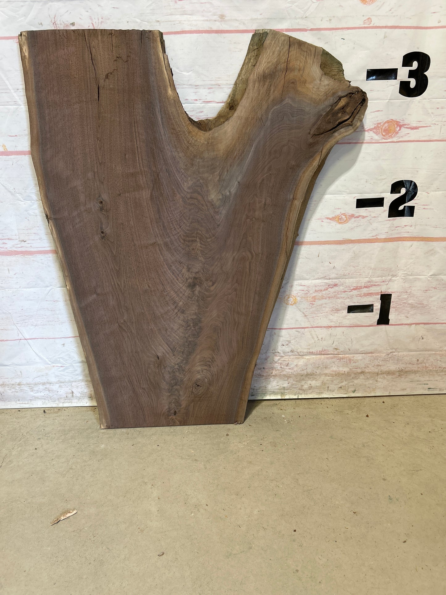 Live Edge Walnut Sku#26022M-10