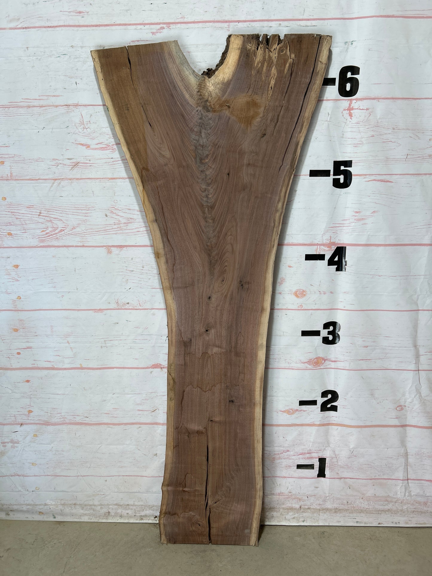 Live Edge Walnut Sku#26836M-18