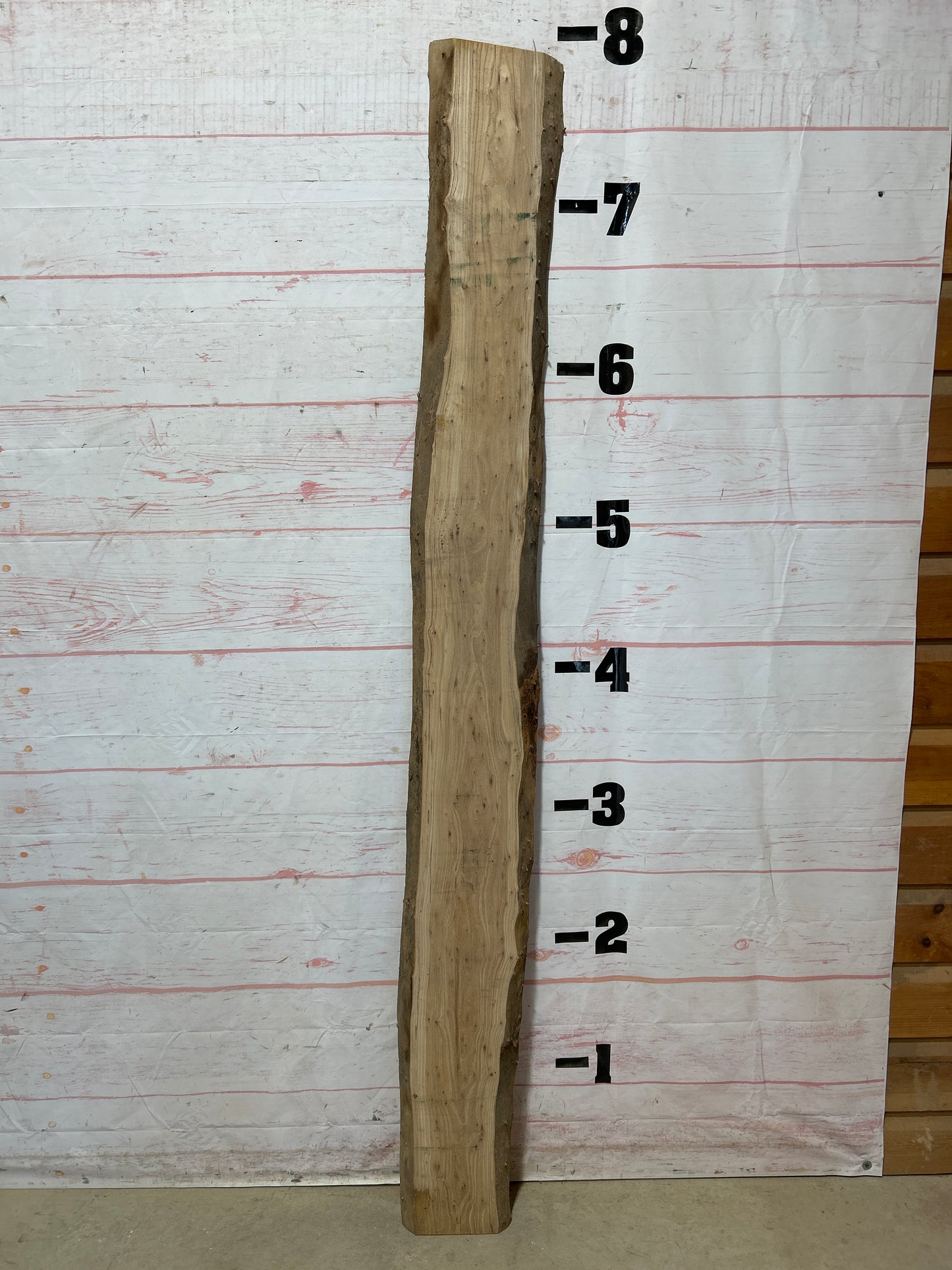 Live Edge Elm Sku#25485H-8