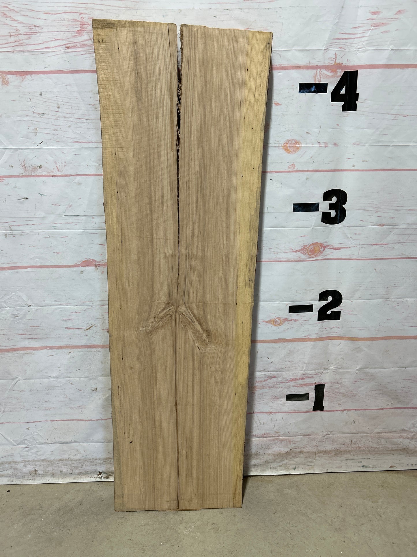 Live Edge Ash Sku#26562M-15