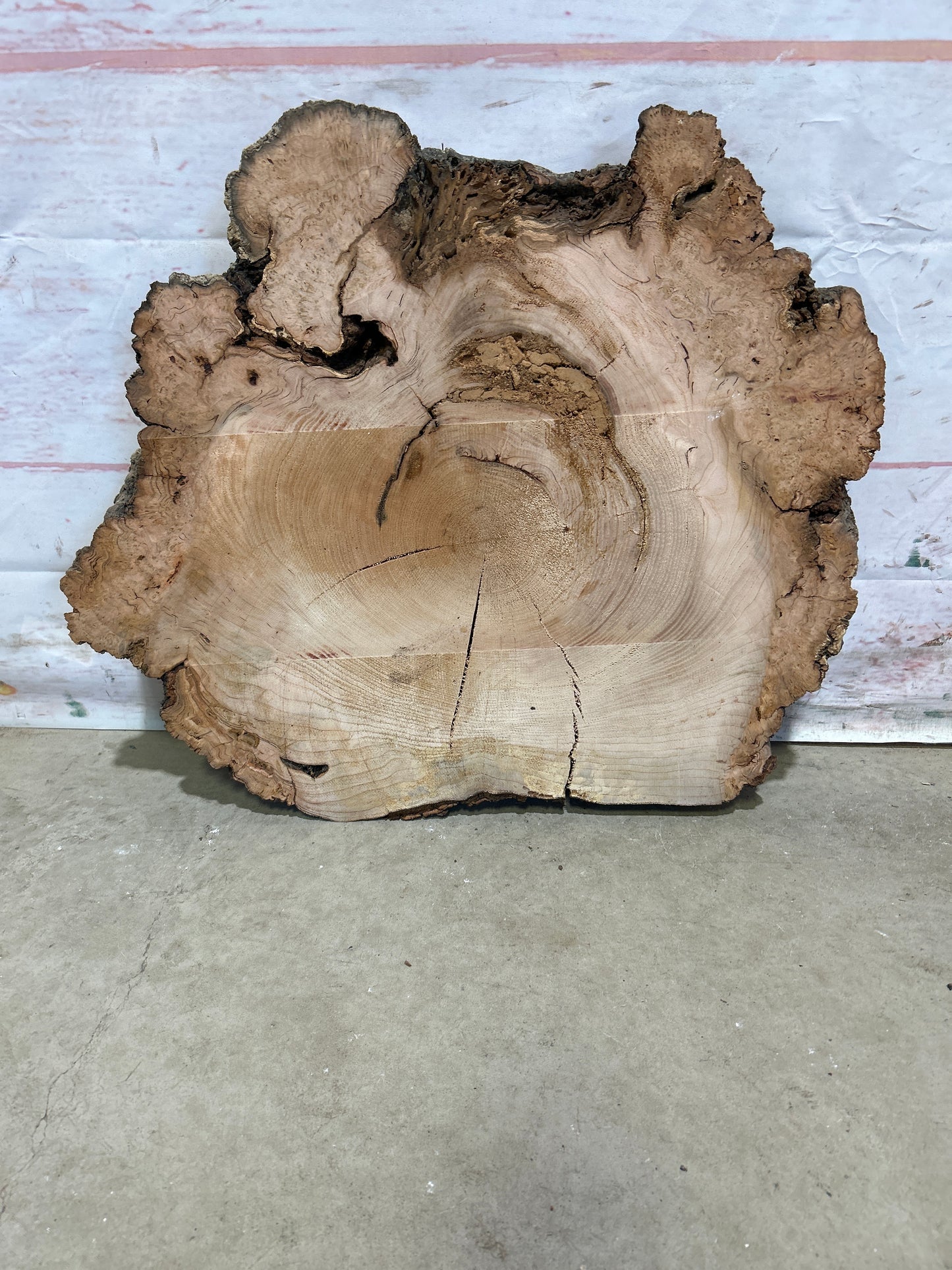 Live Edge Cherry Cookie Sku#25511M