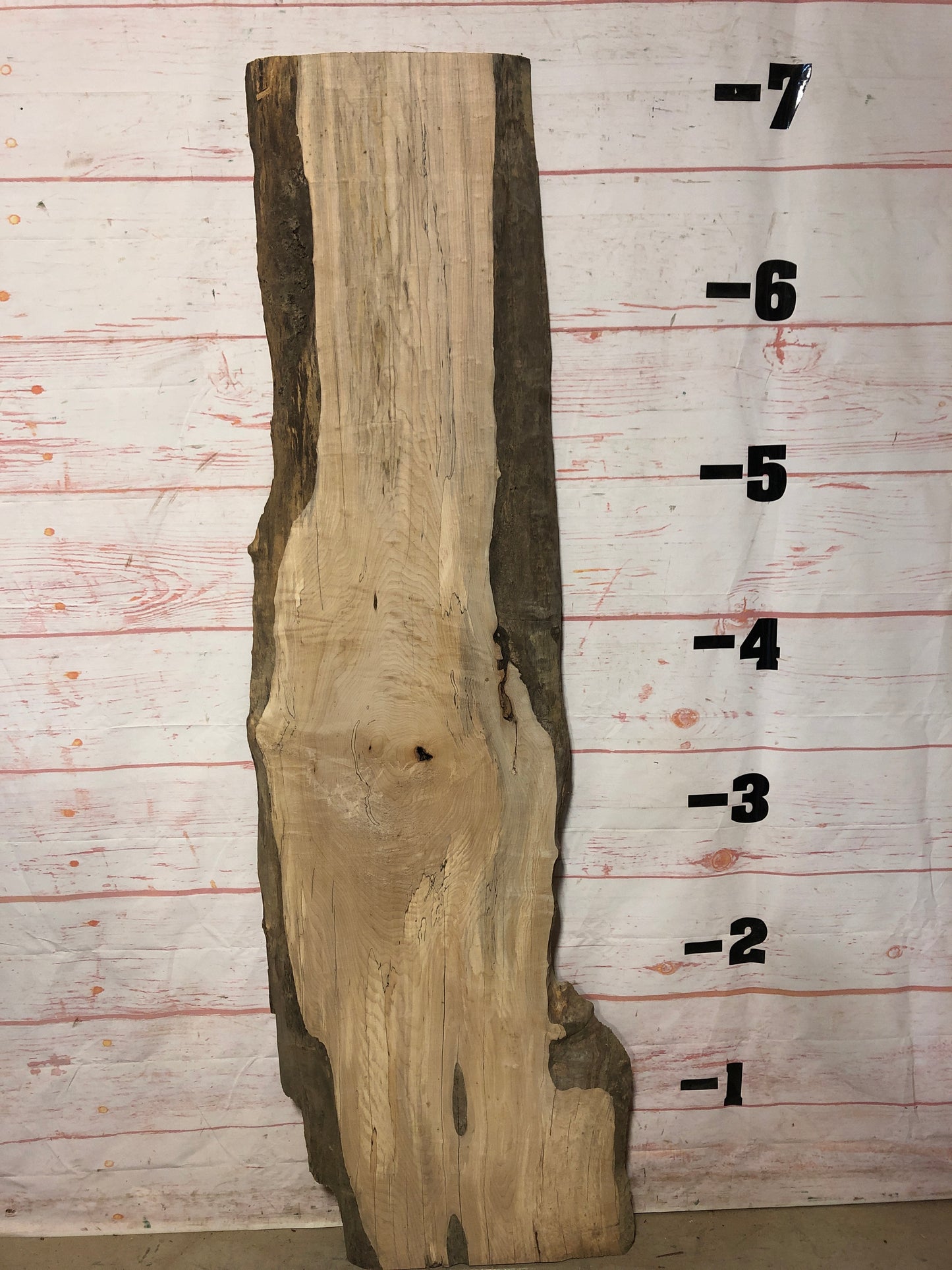 Live Edge Spalted MapleSk# 22364E-20