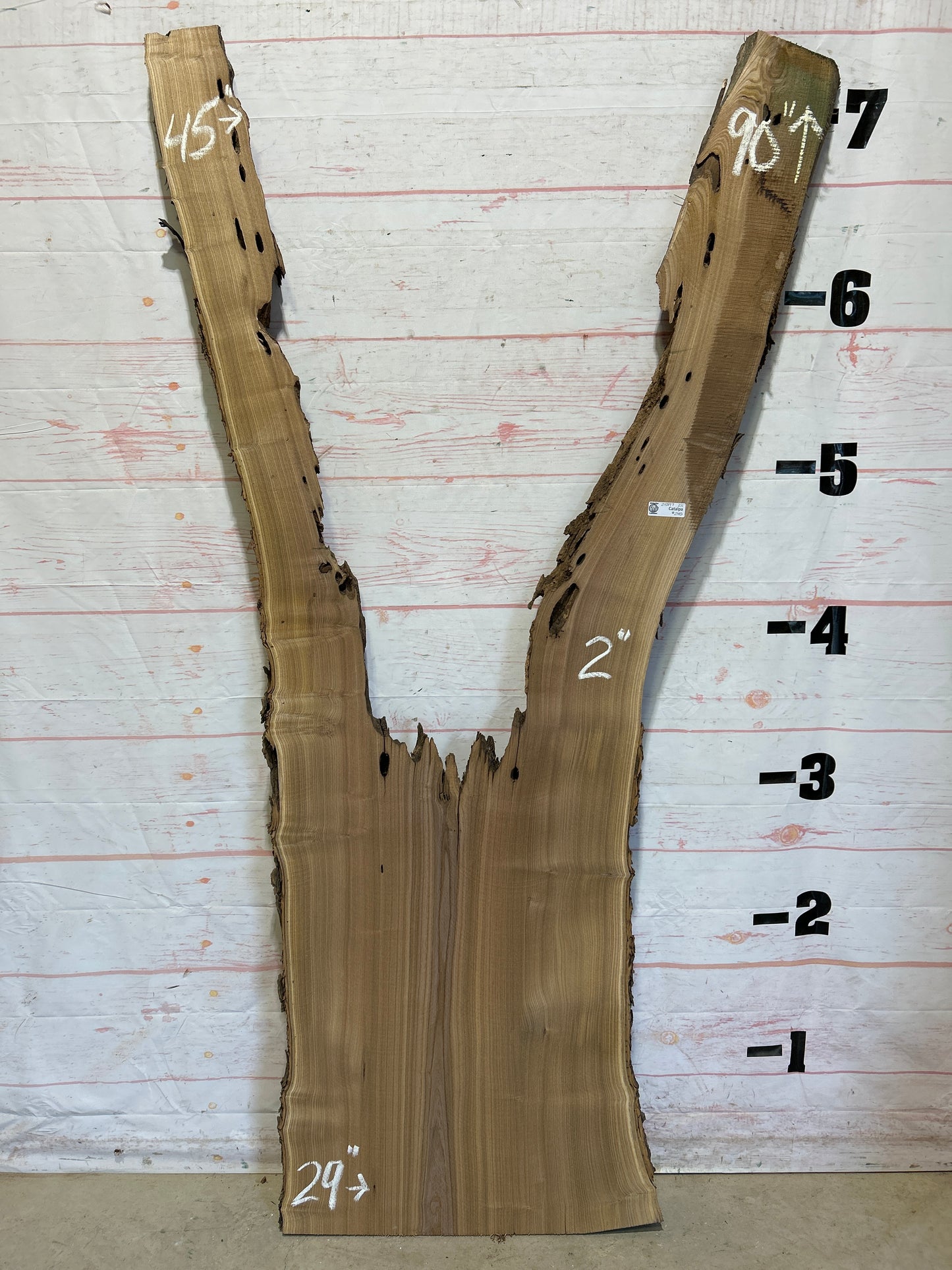 Live Edge Catalpa Sku#25897-25