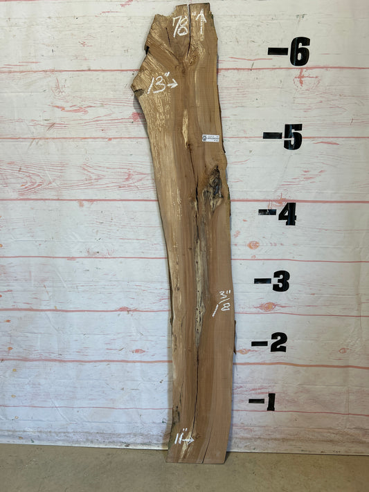 Live Edge Applewood Sku#25343M-10