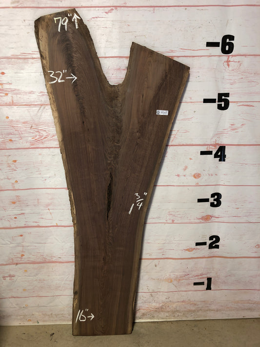 Live Edge Walnut Sku#20881SP1-23