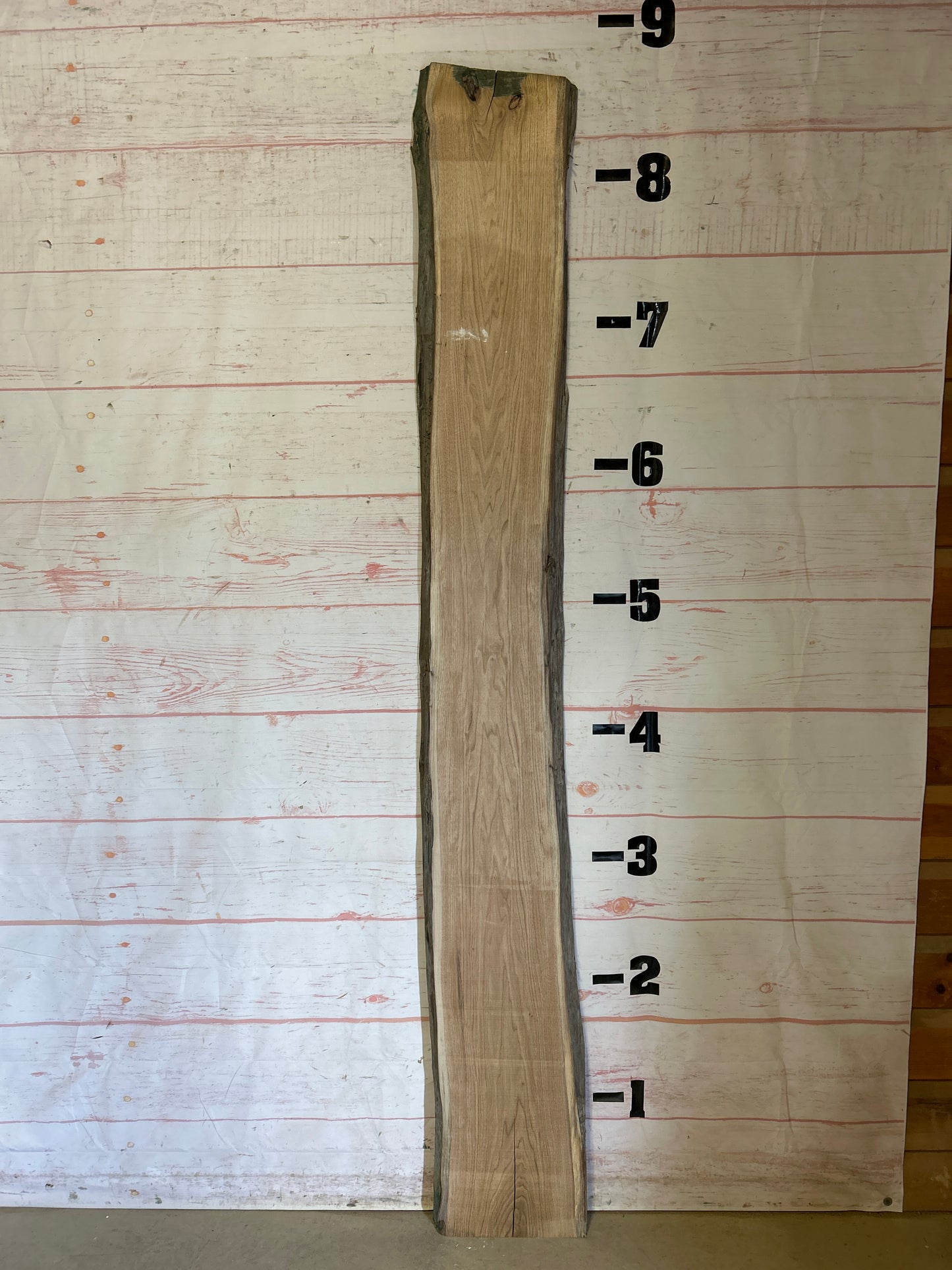 Live Edge Butternut Sku#24790-20