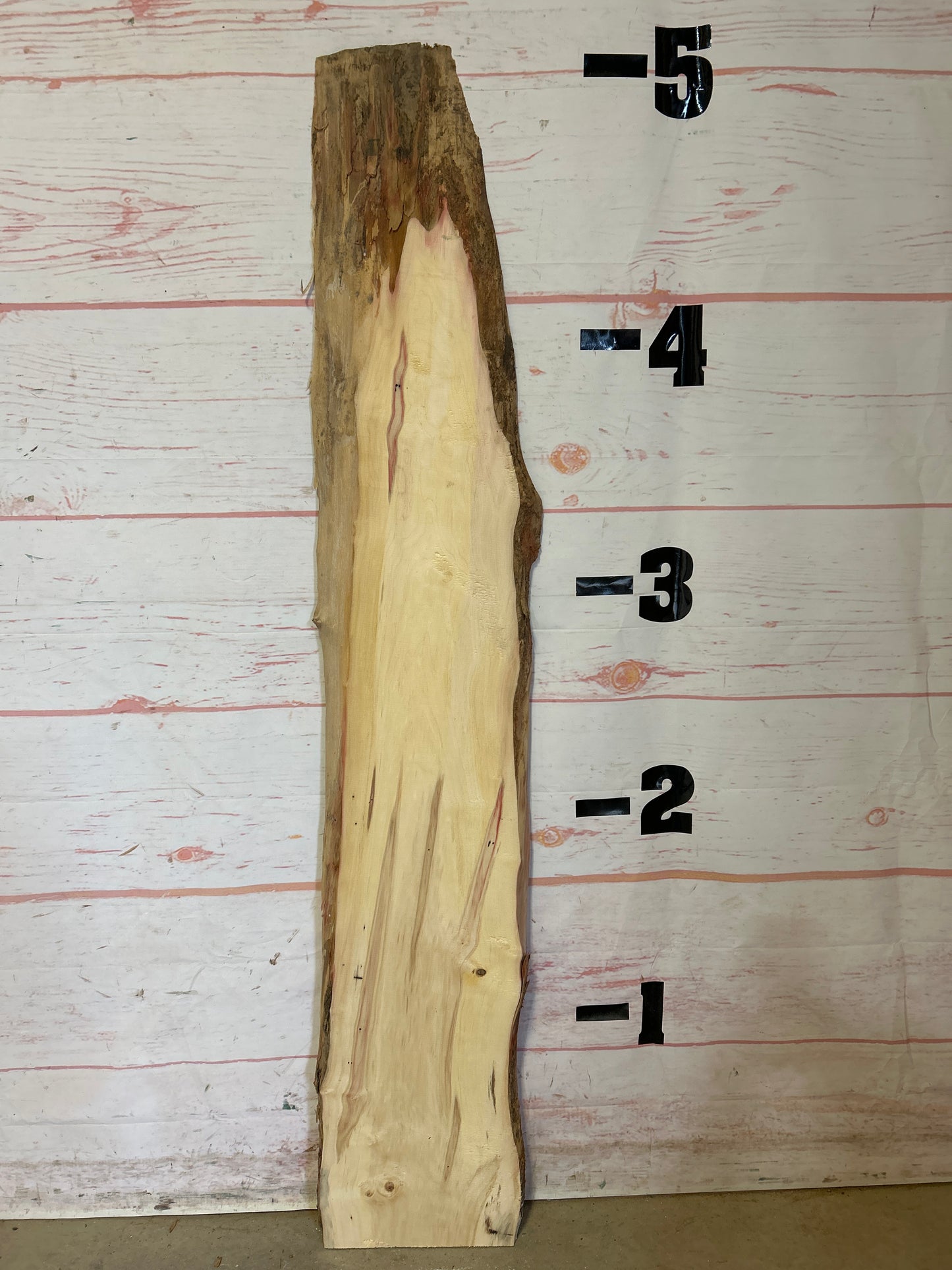 Live Edge Box Elder Sku#25048M-6