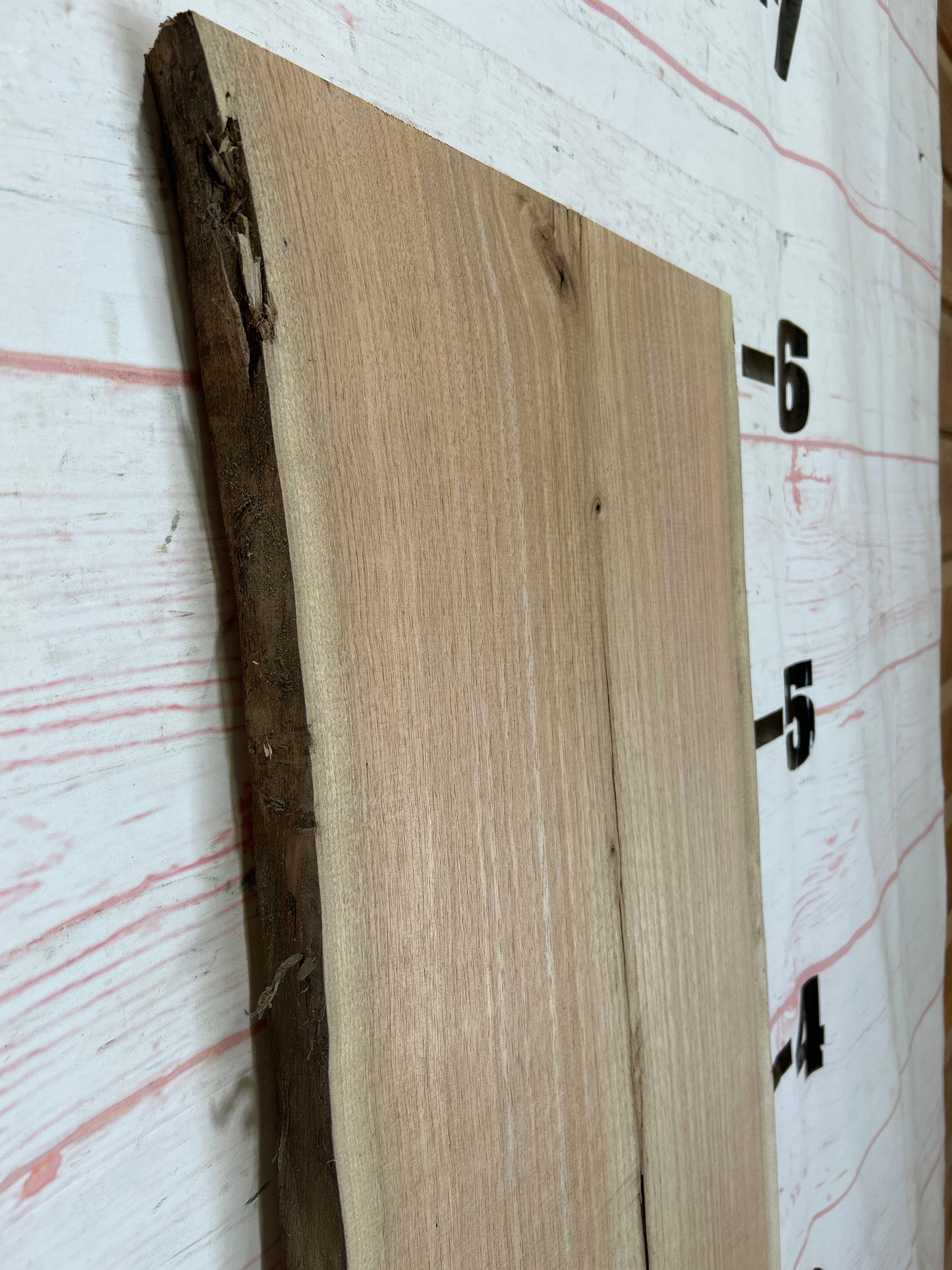 Live Edge Butternut Sku#25936C-14
