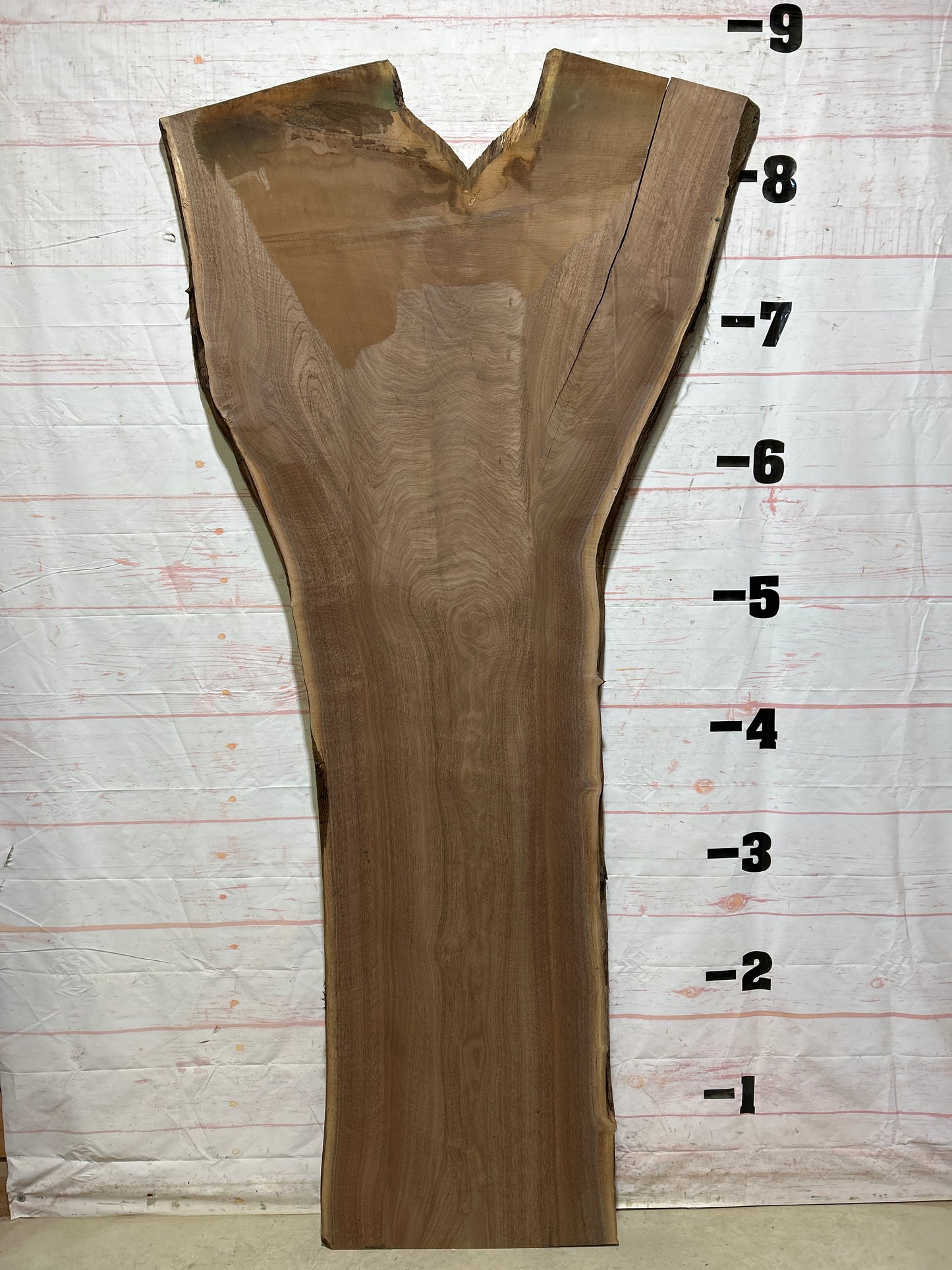 Live Edge Walnut Sku#26608J-55