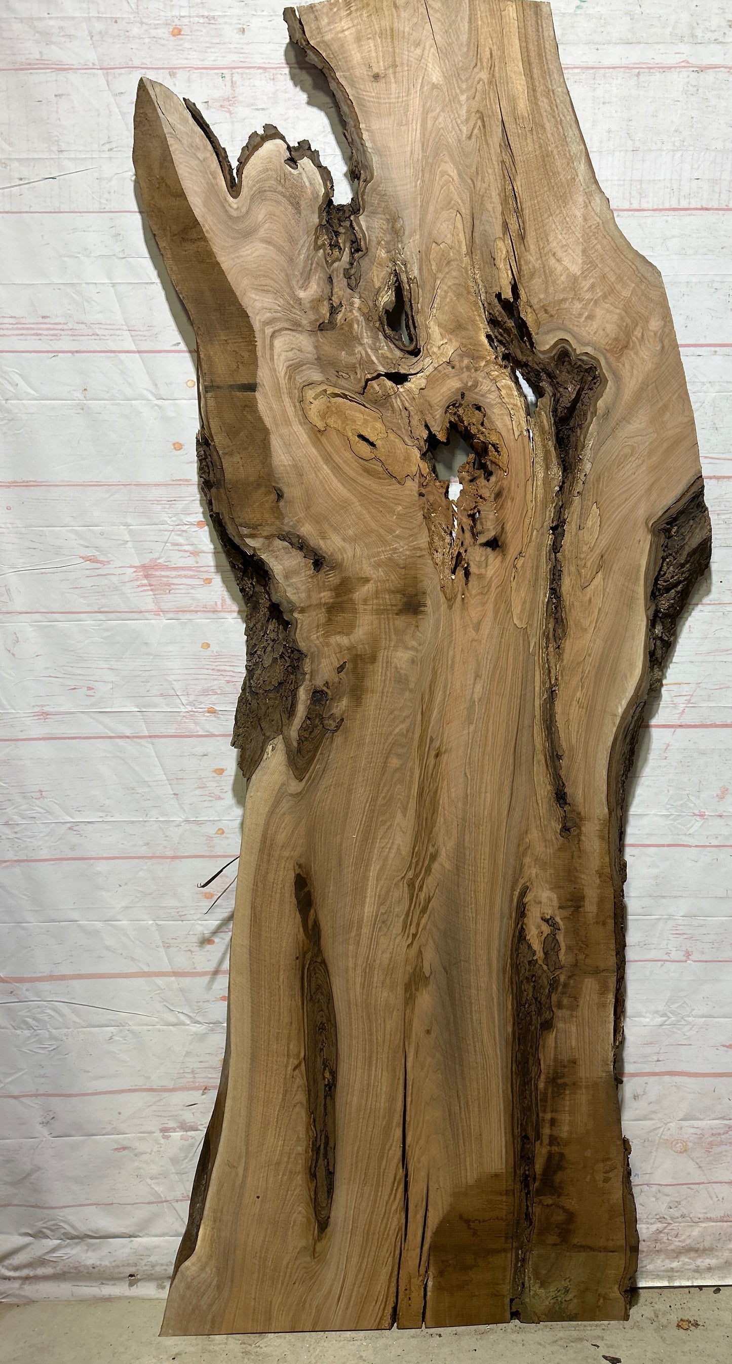 Live Edge Butternut Sku#26750-49