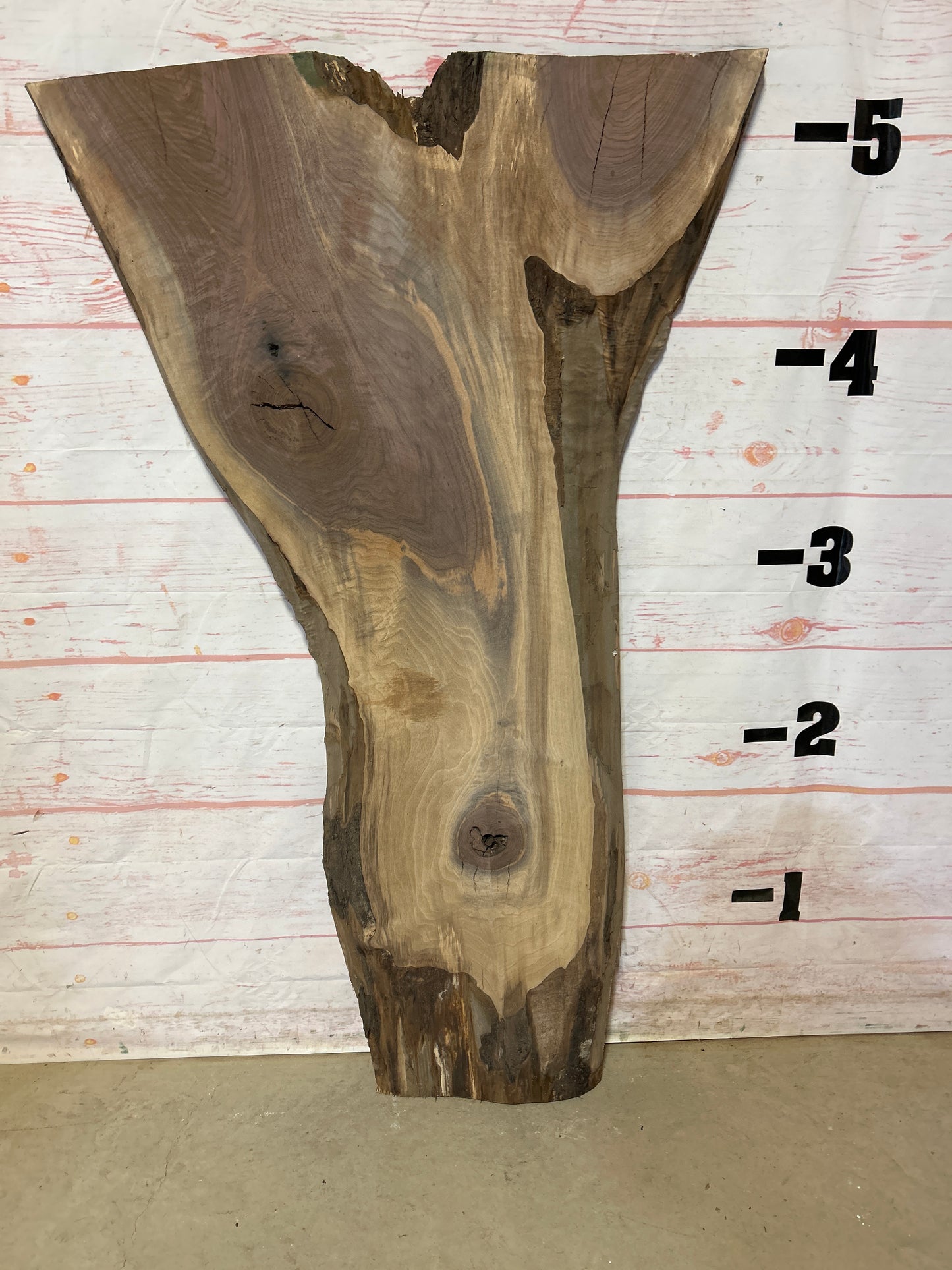 Live Edge Walnut Sku# 24300N-24