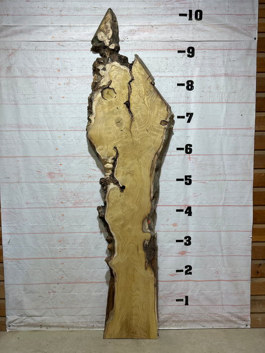 Live Edge Mulberry Sku#26937-44