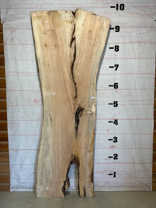Live Edge Maple Sku#26336-95