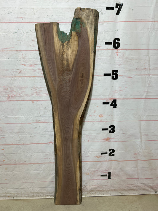 Live Edge Walnut Sku#27079G-21
