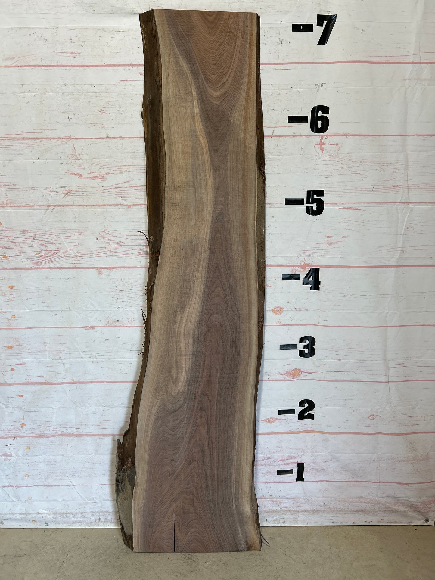 Live Edge Walnut Sku#26152C-24