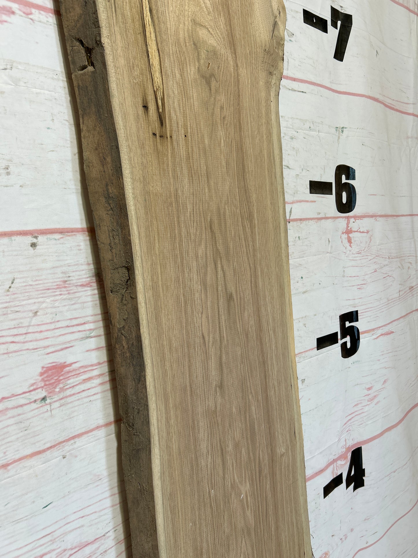 Live Edge Butternut Sku#25942C-14