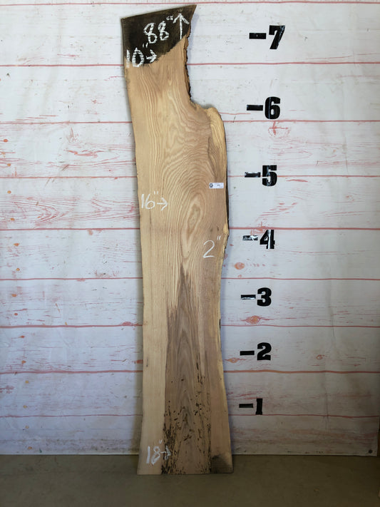Live Edge Ash Sku#23093H-17
