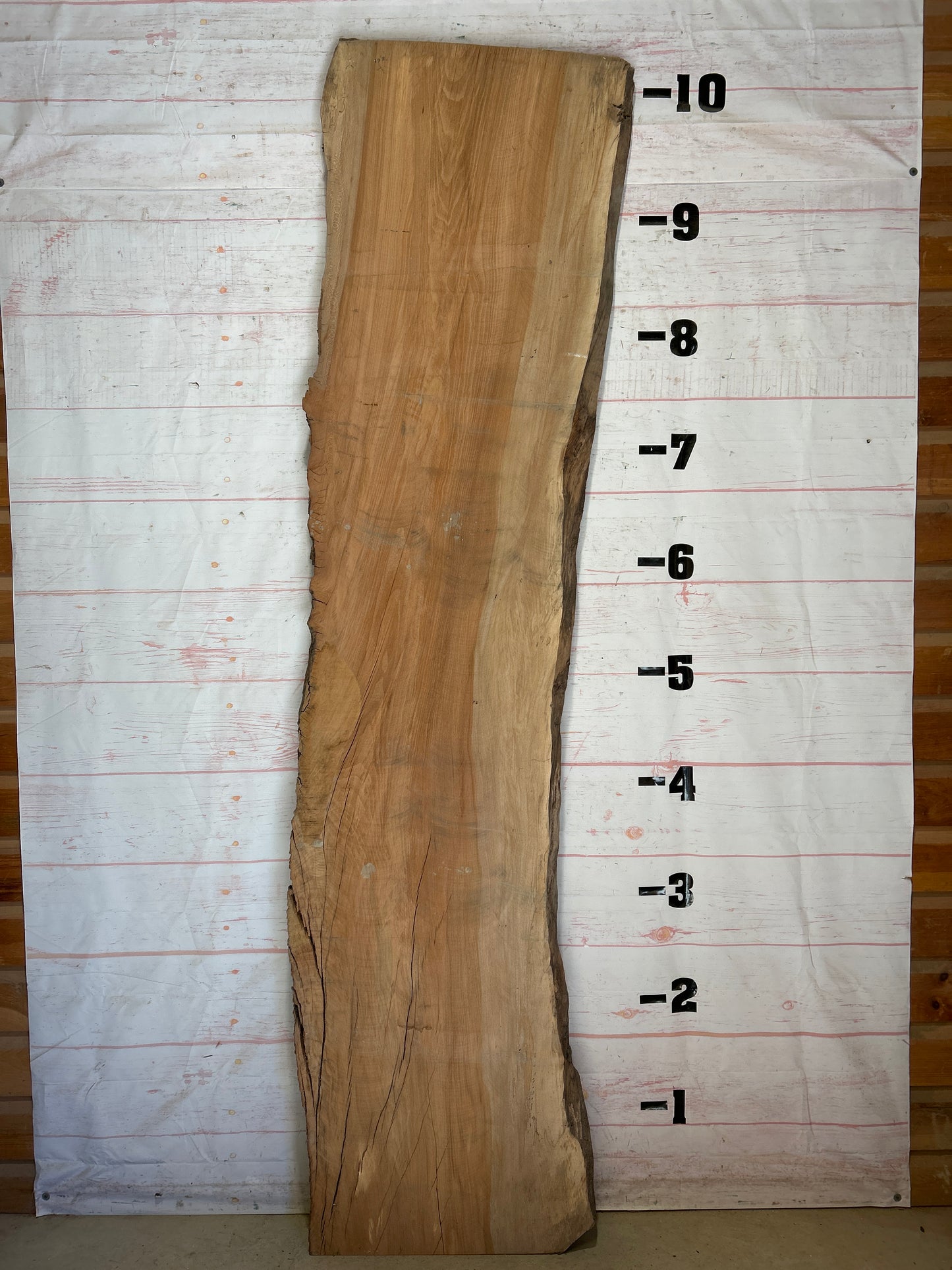 Live Edge Sycamore Sku#26534-65