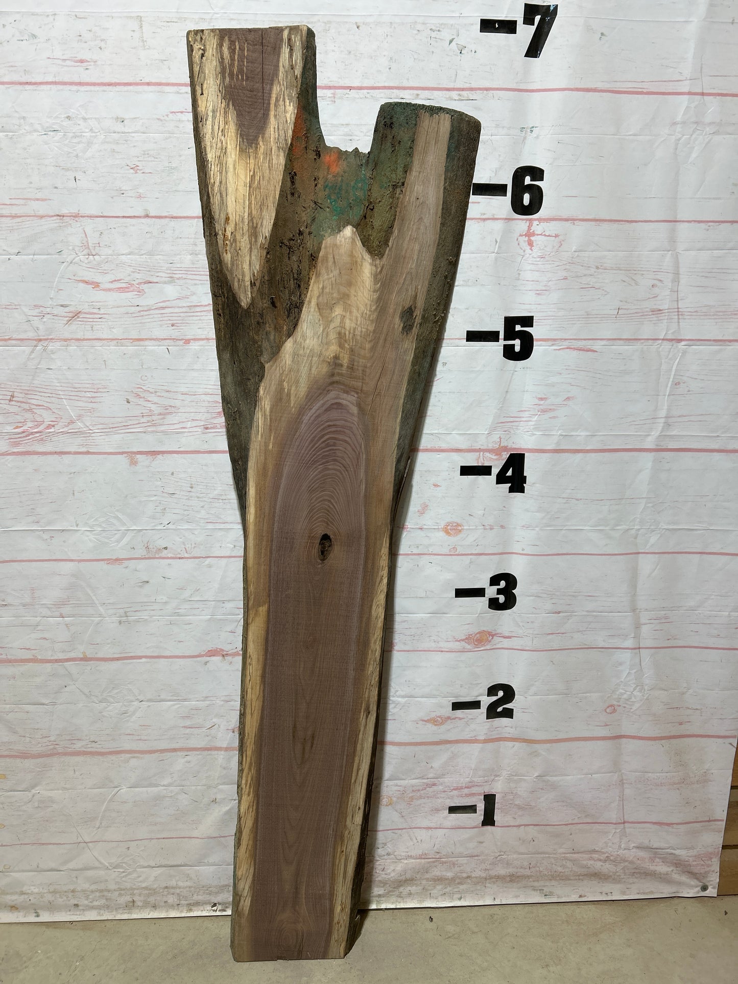 Live Edge Walnut Sku#27075G-20