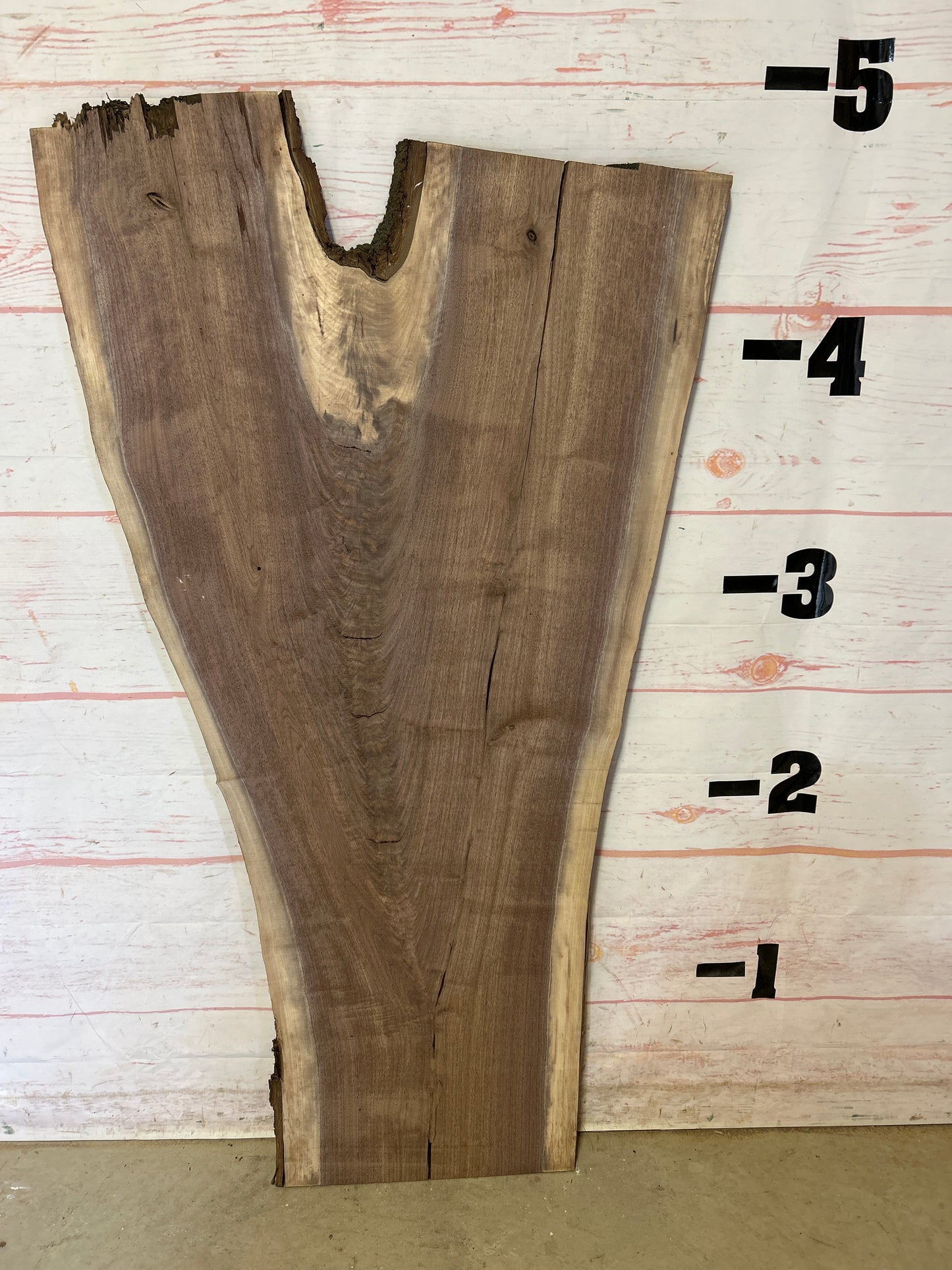 Live Edge Walnut Sku#25240M-12