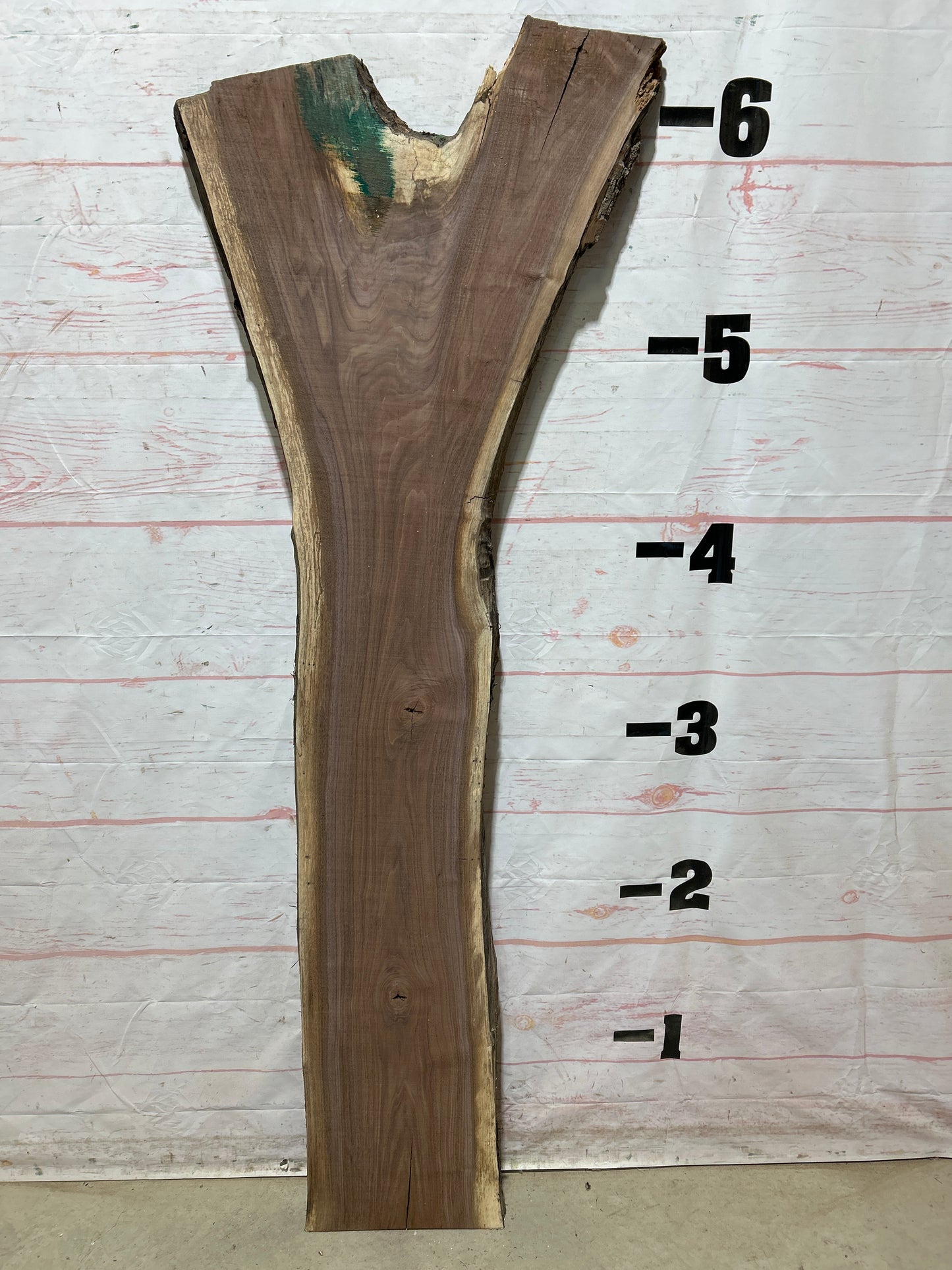 Live Edge Walnut Sku#27080G-20