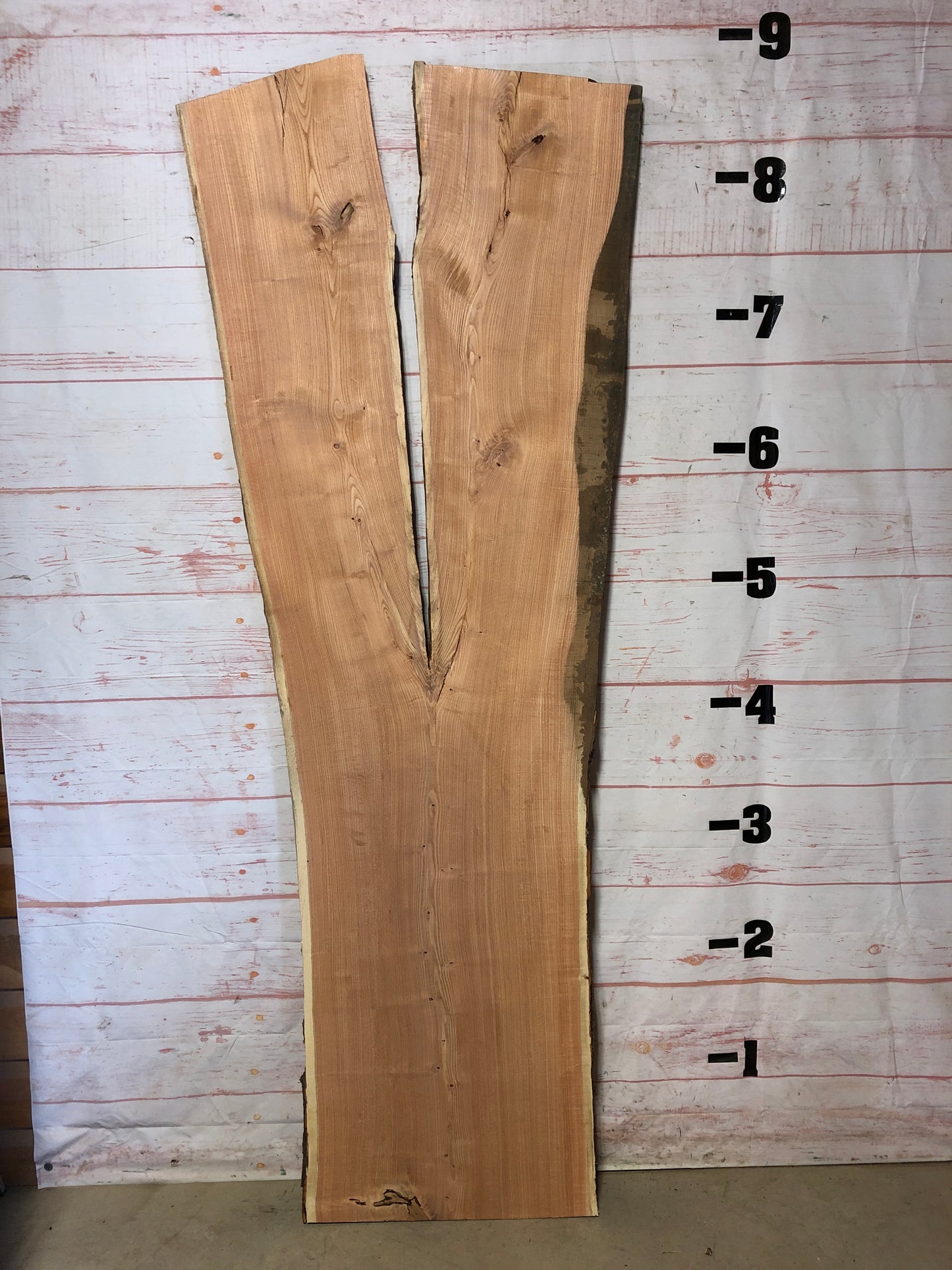 Live Edge Honey Locust Sku# 22604-43