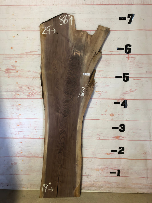 Live Edge Walnut Sku#23053SP1-29
