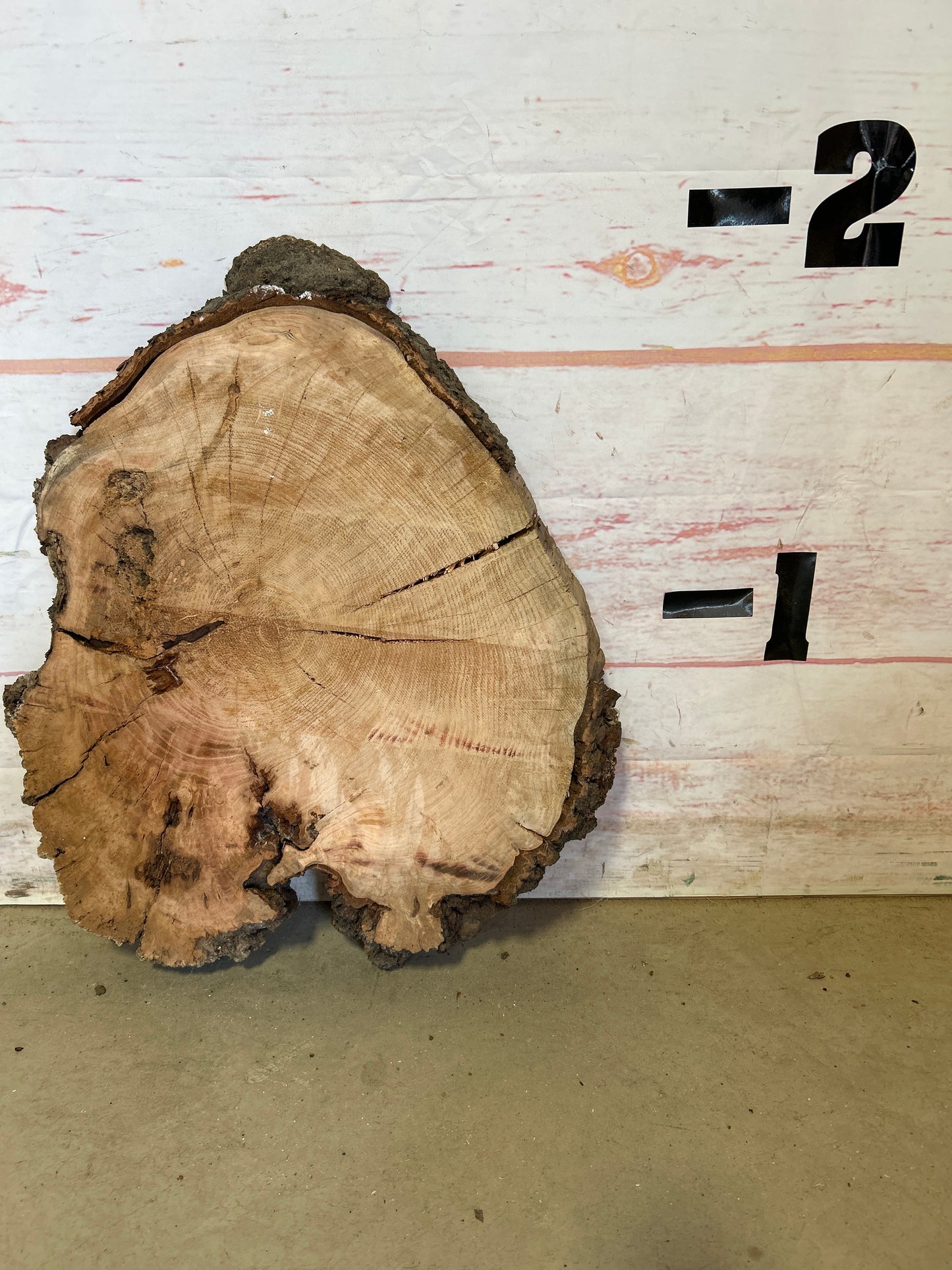 Live Edge Cherry Cookie Sku#25144M