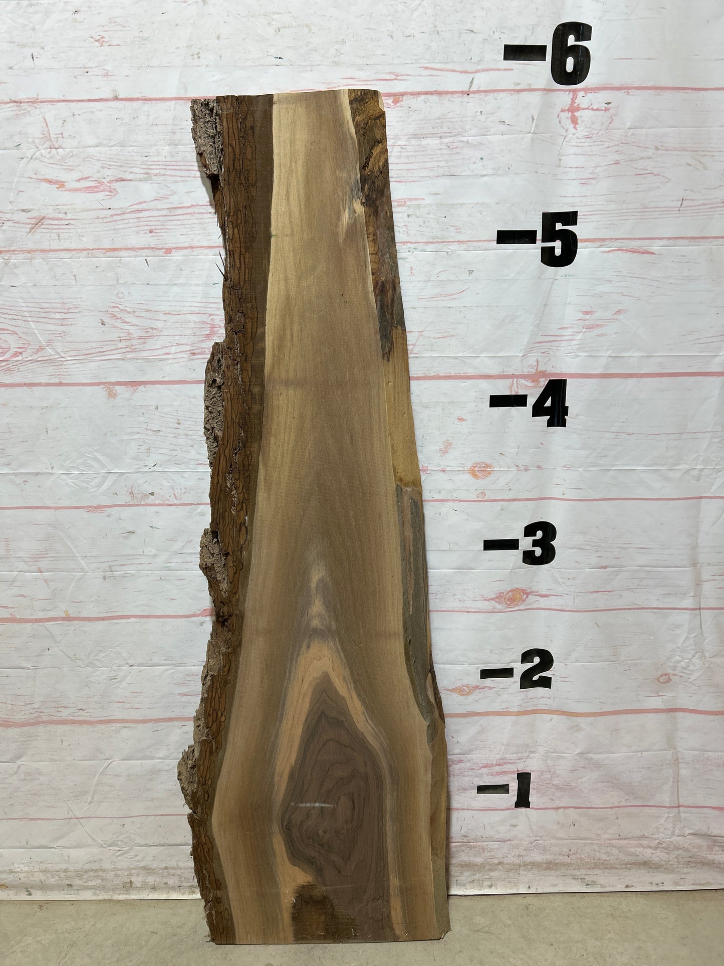 Live Edge Walnut Sku#27218M-10