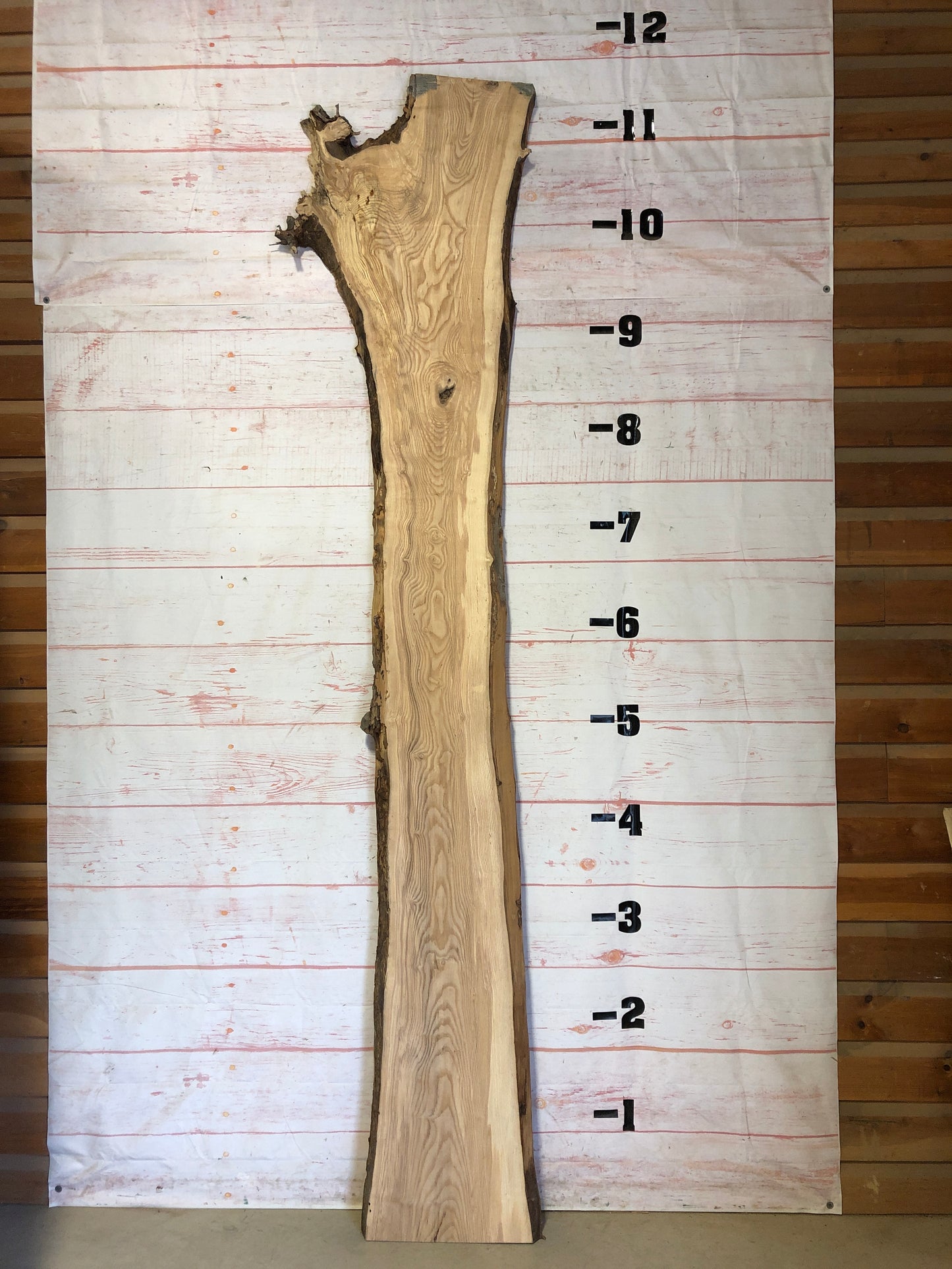 Live Edge Ash Sku# 22951-48