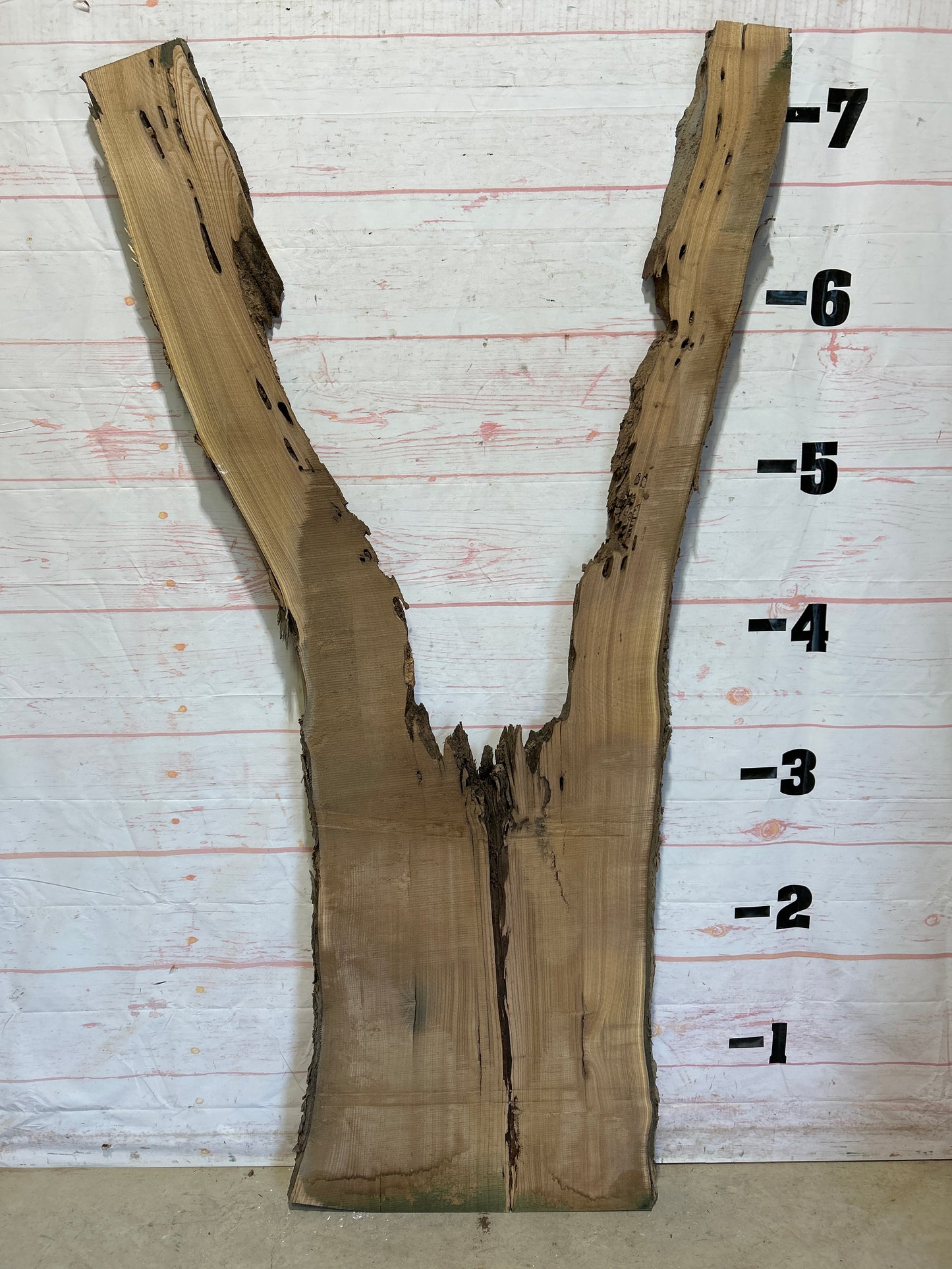 Live Edge Catalpa Sku#25897-25
