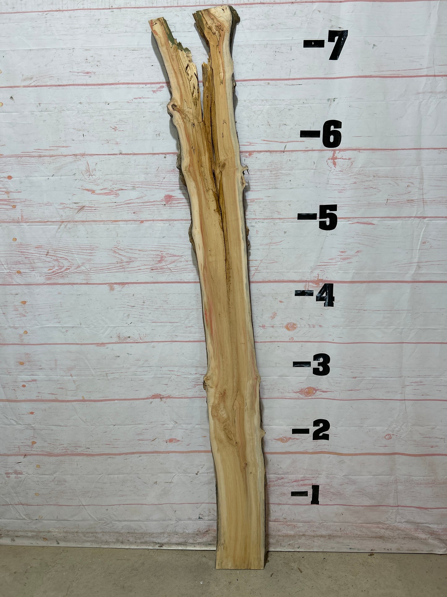 Live Edge Box Elder Sku#25728D-8