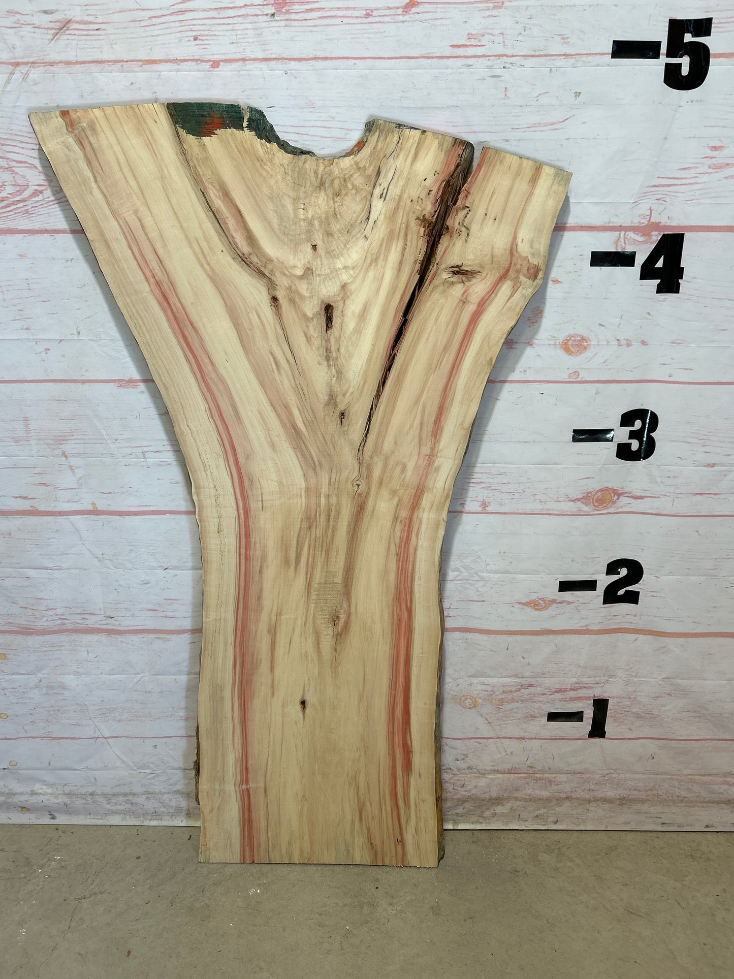Live Edge Box Elder Sku#25286M-13