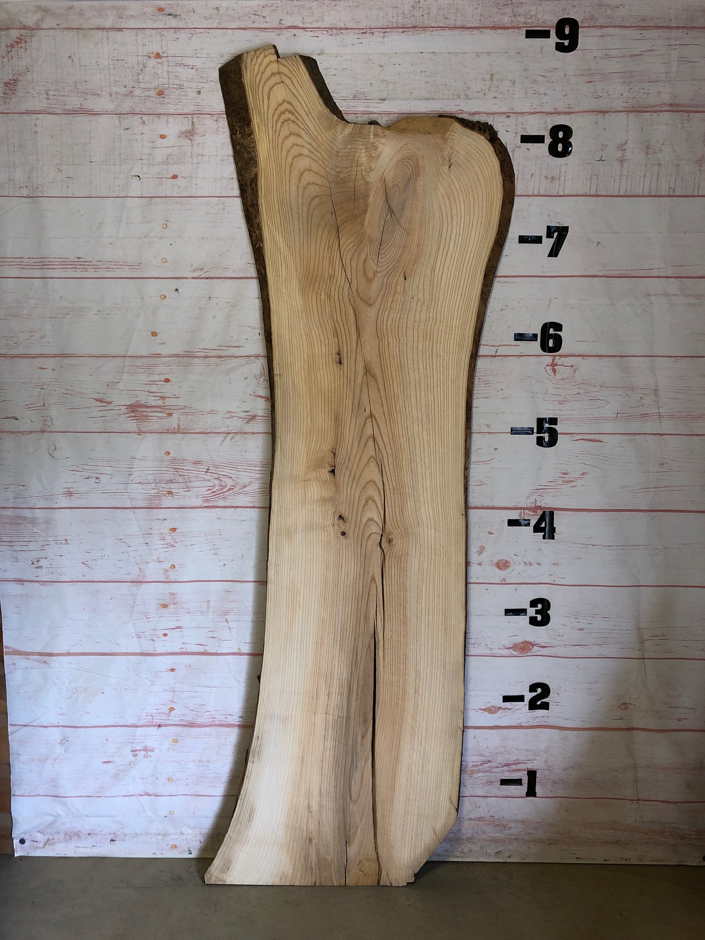 Live Edge Ash Sku#23098-41