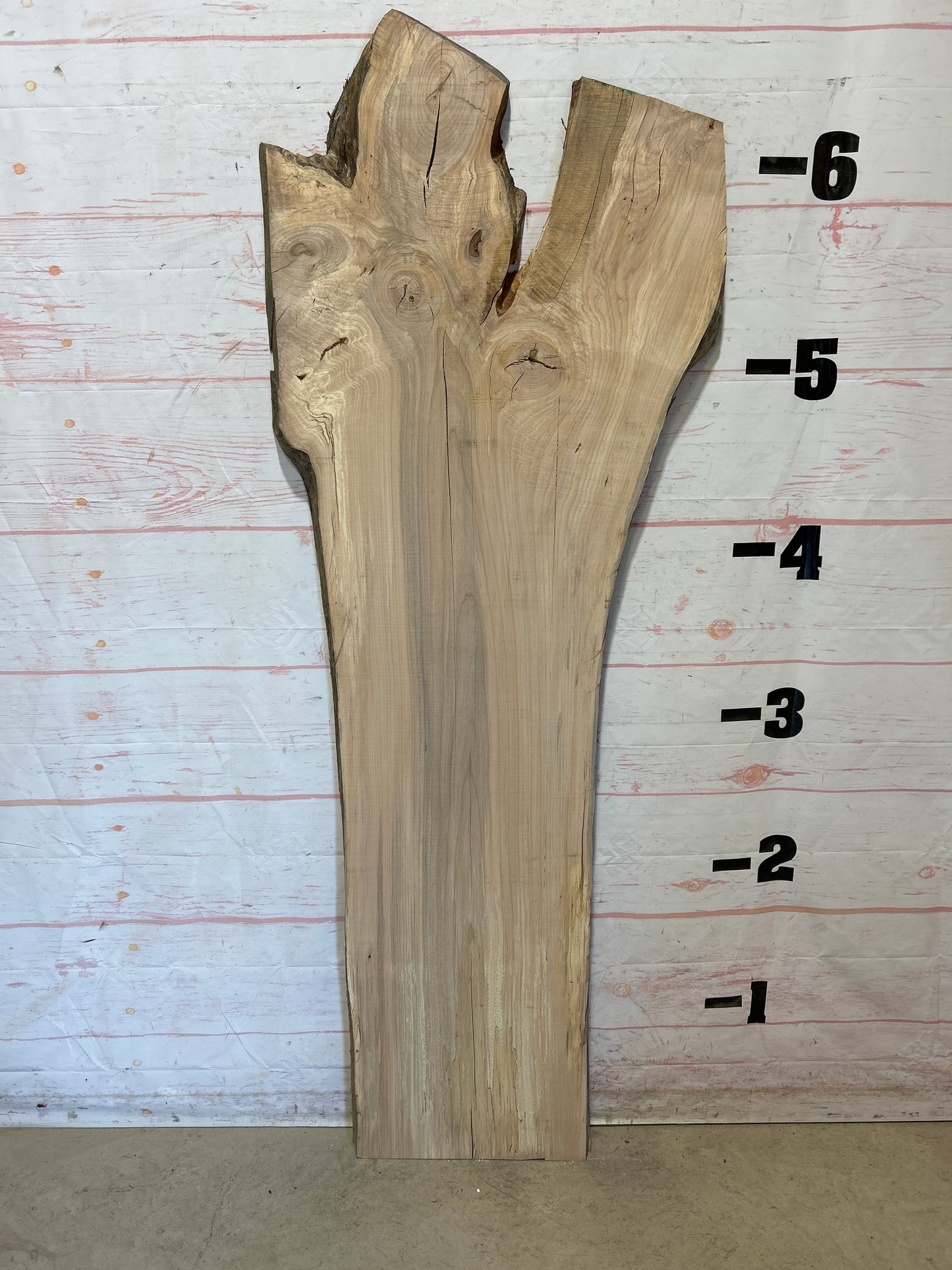 Live Edge Maple Sku#26164B-23