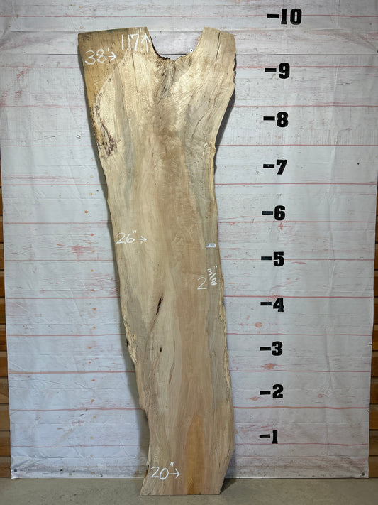 Live Edge Maple Sku#26333-59