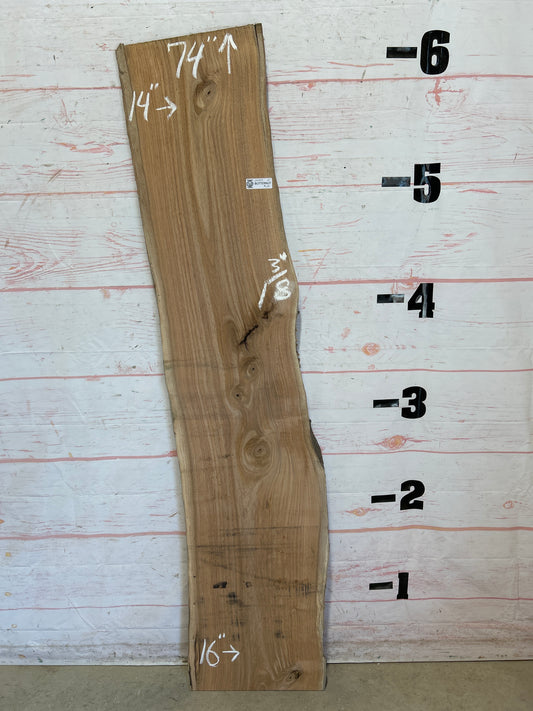 Live Edge Butternut Sku#25929C-12