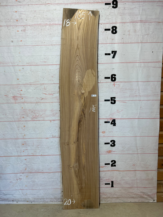 Live Edge Elm Sku#25470H-21