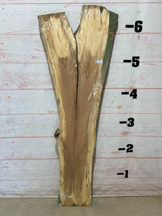Live Edge Beech Sku#25250H-20