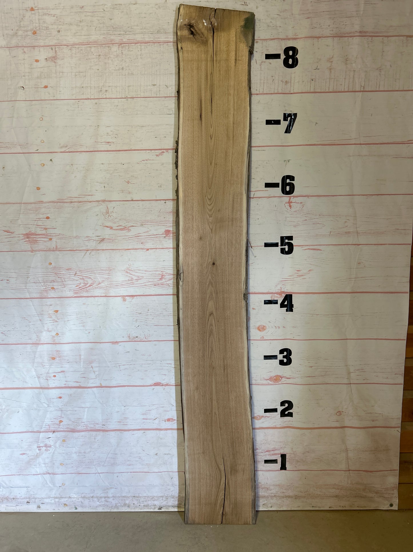 Live Edge Butternut Sku#24788-22