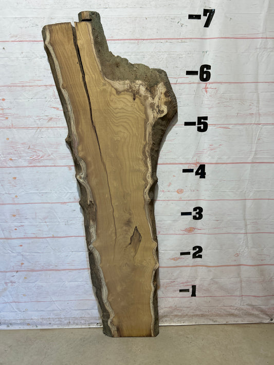 Live Edge Mulberry Sku#27104-26