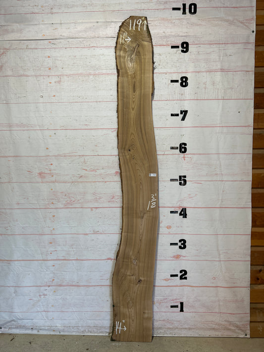 Live Edge Catalpa Sku#25976-16