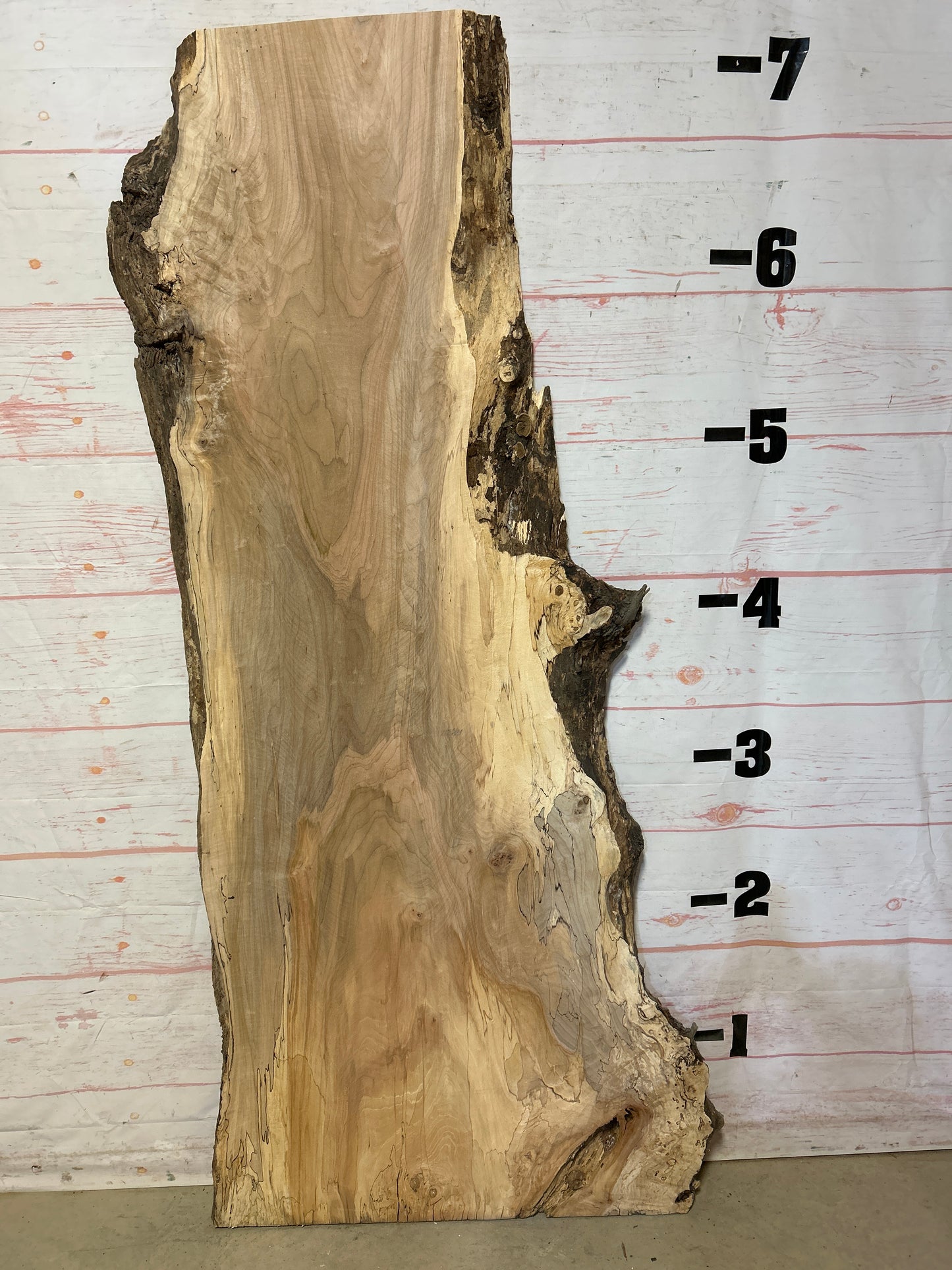 Live Edge Spalted Maple Sku# 24997-43